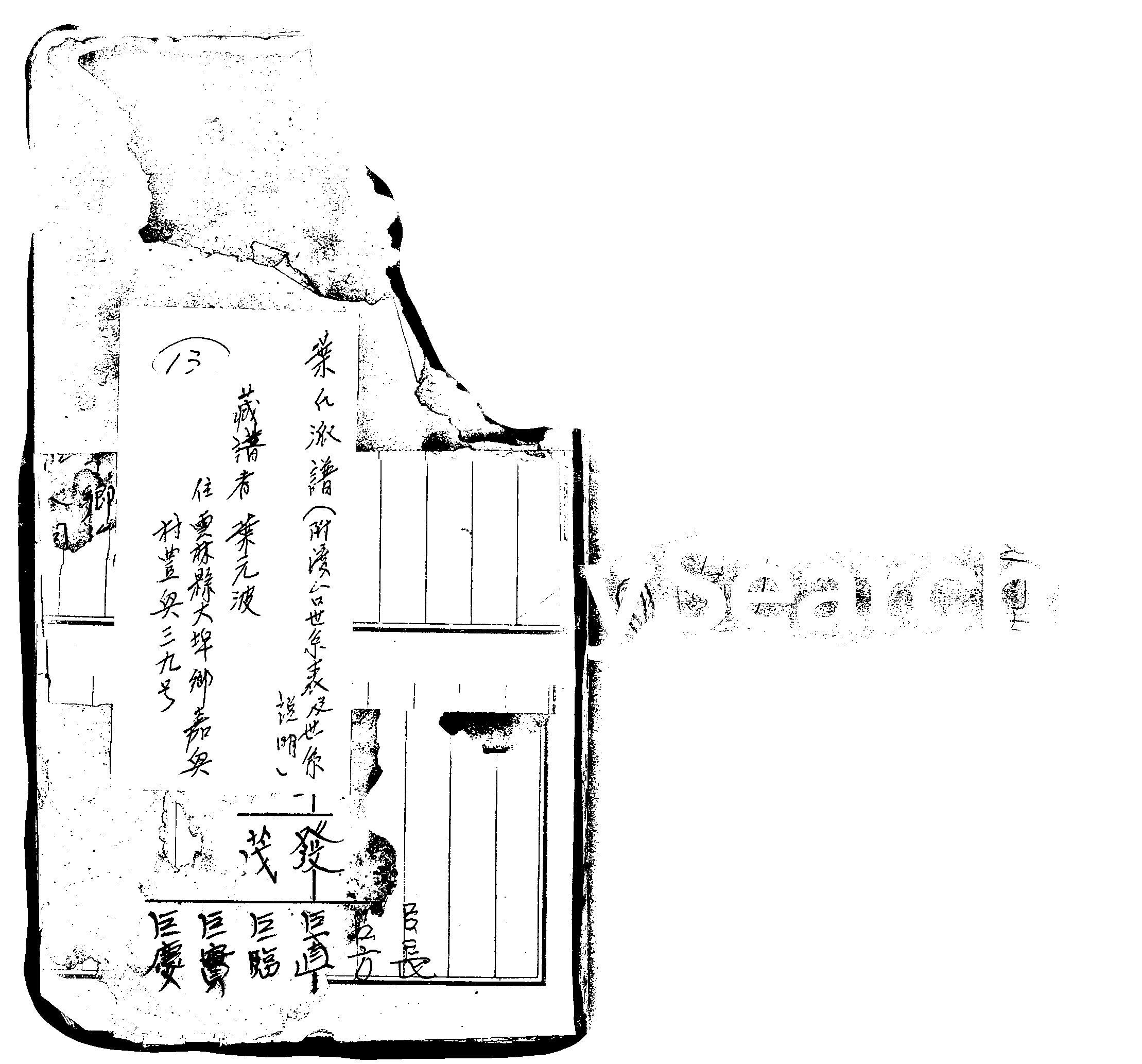 家谱第一张图片