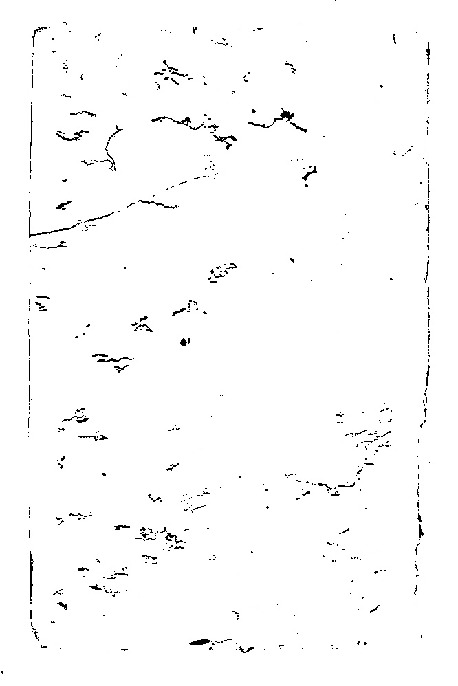 家谱第一张图片