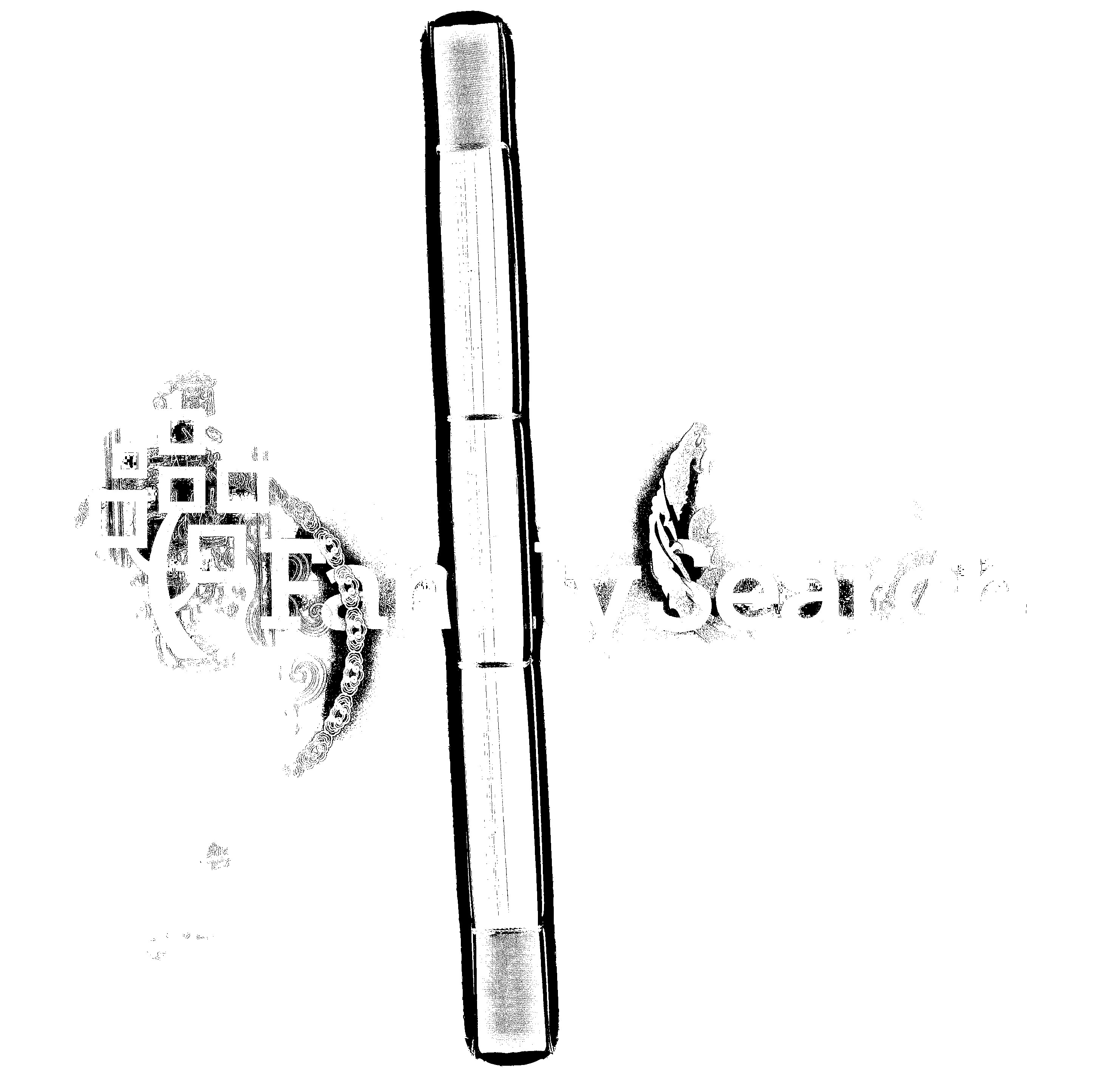 家谱第一张图片