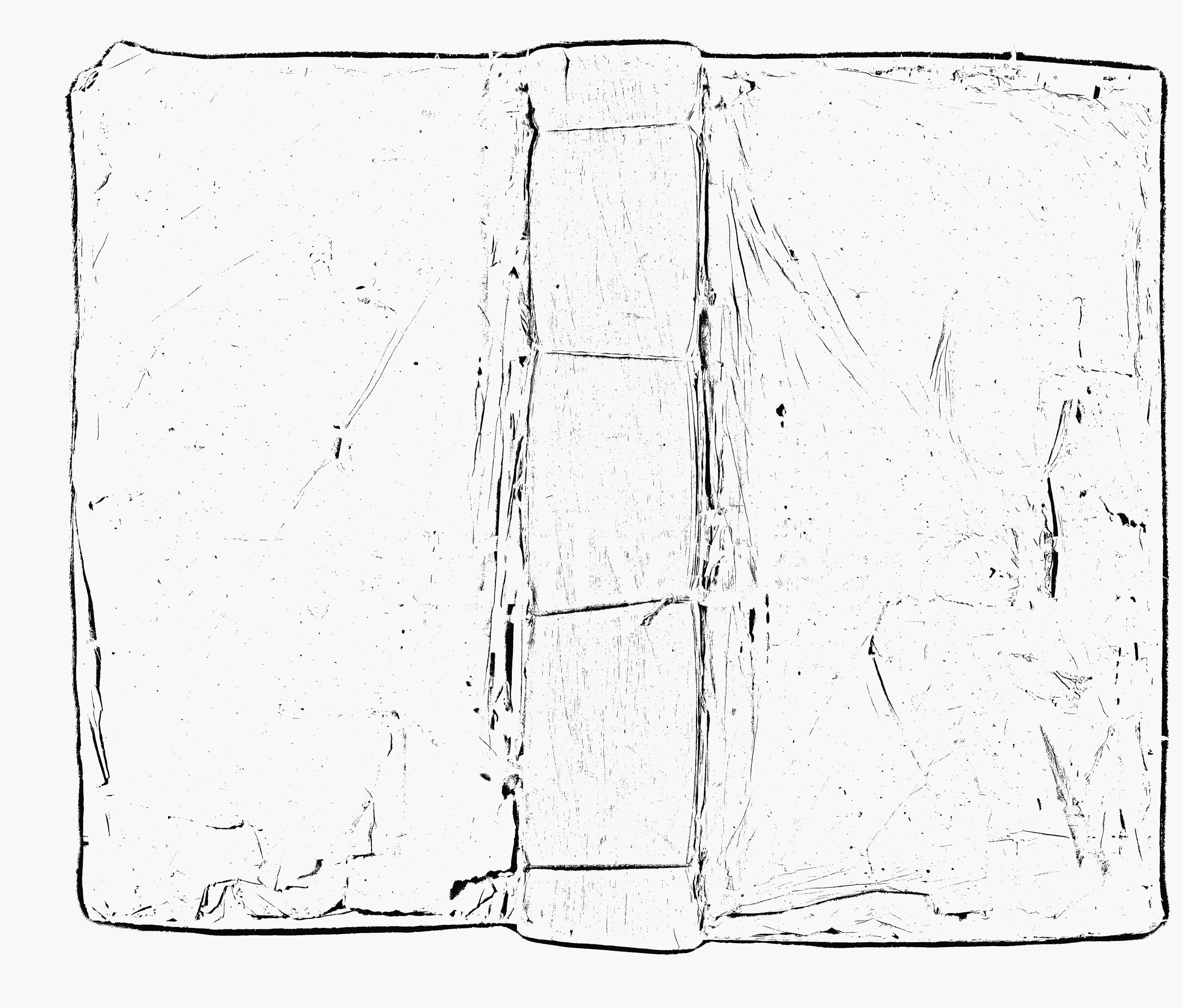 家谱第一张图片