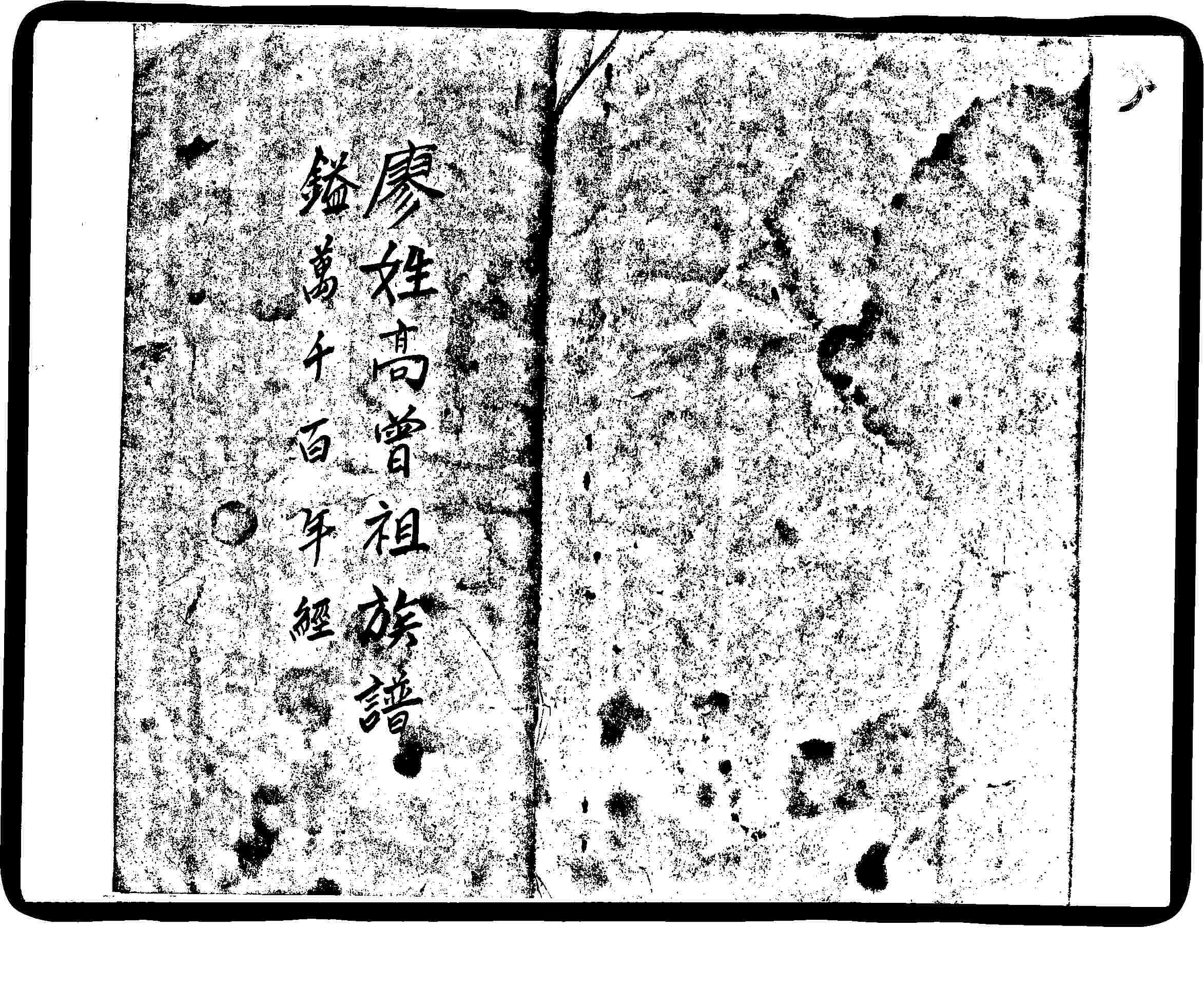 家谱第一张图片