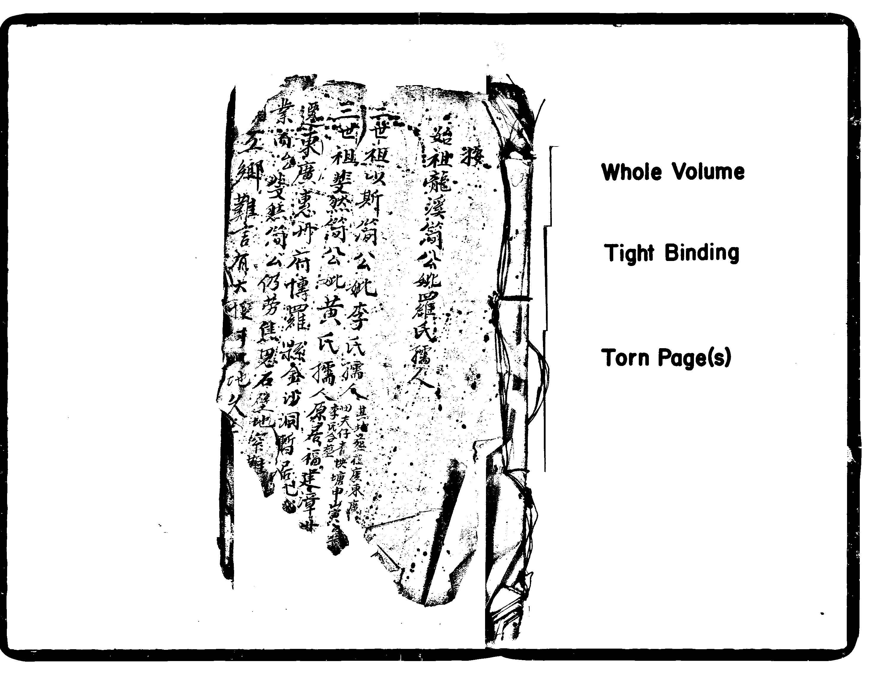 家谱第一张图片