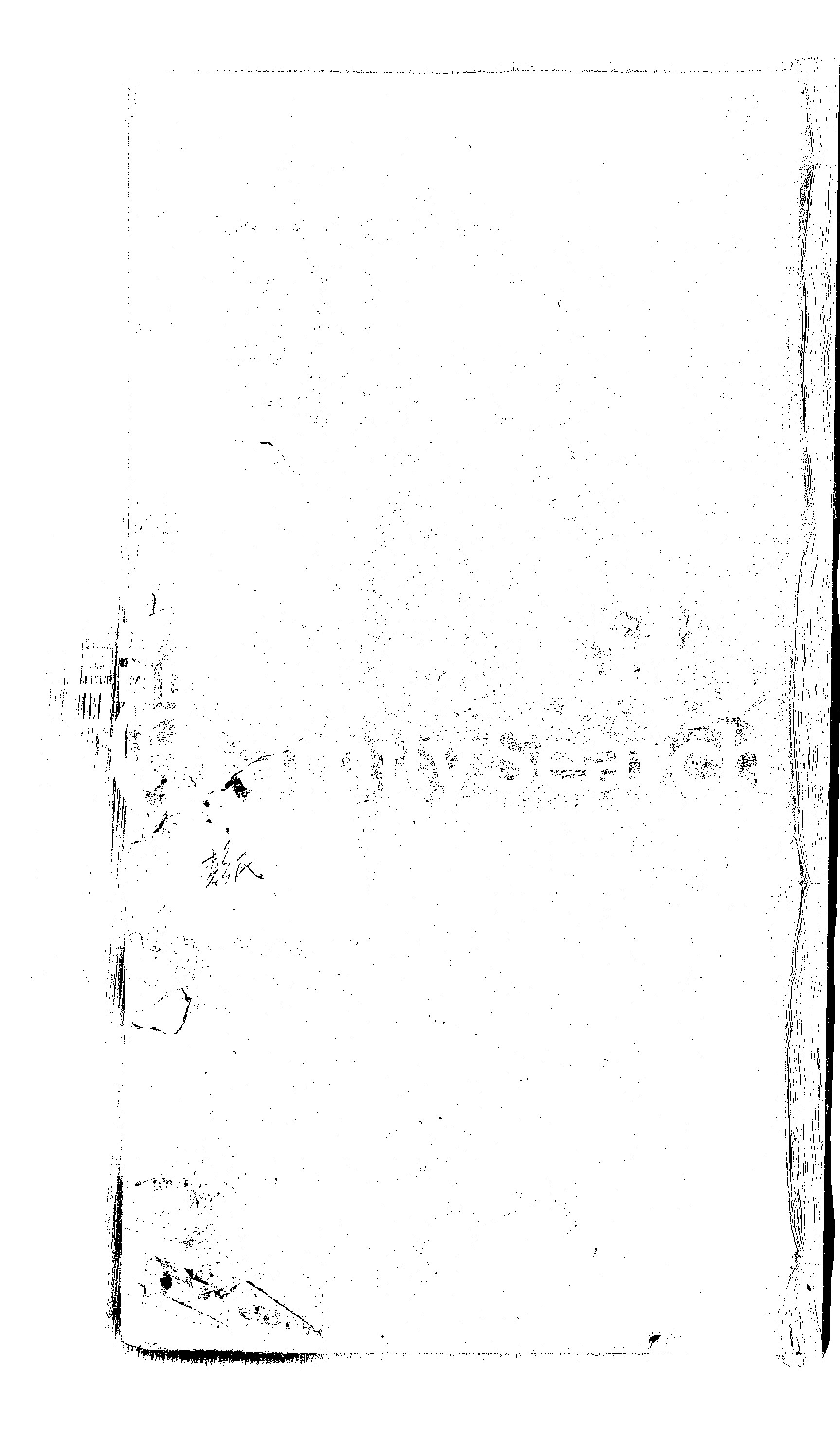 家谱第一张图片