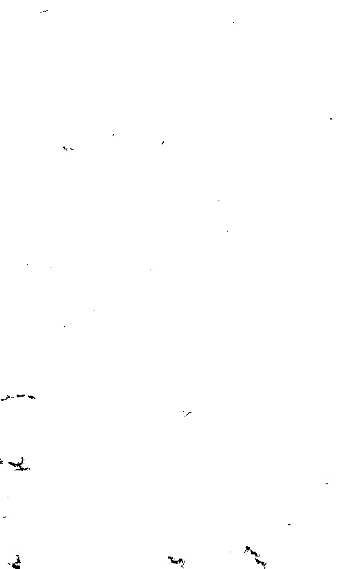 家谱第一张图片