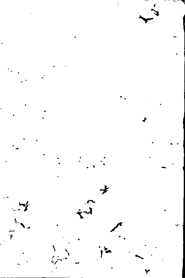 家谱第一张图片