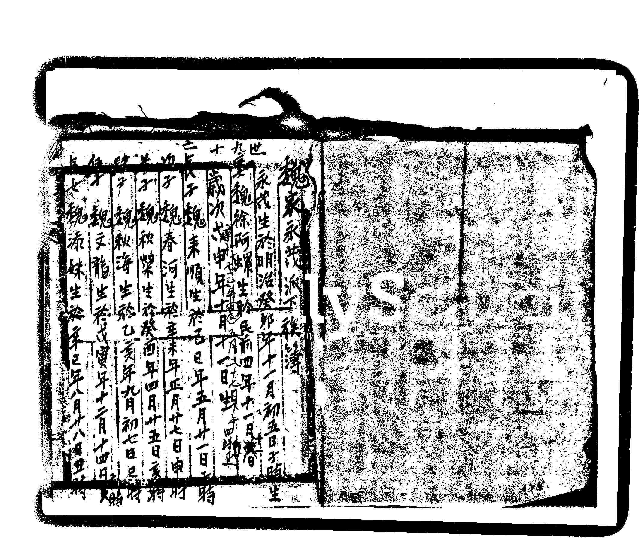 家谱第一张图片