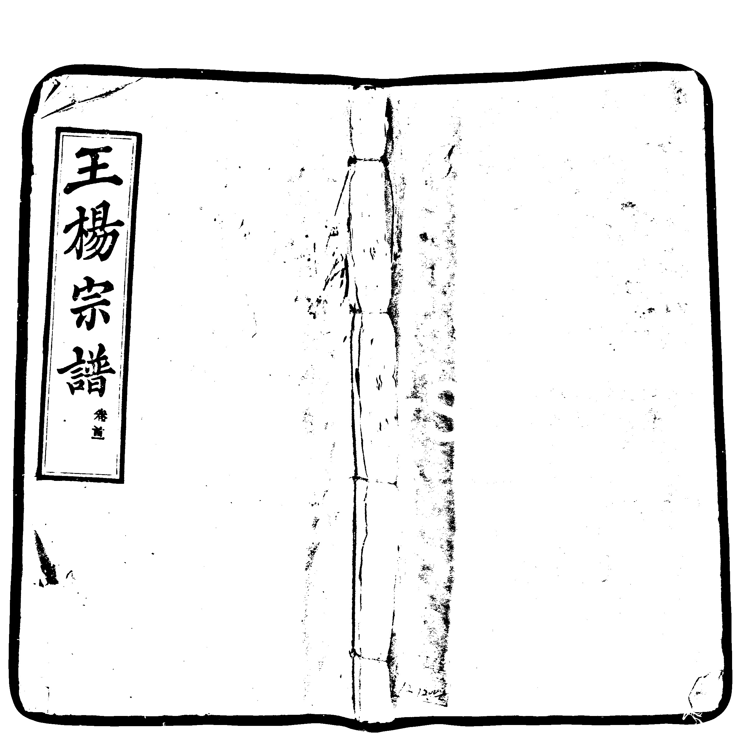 家谱第一张图片