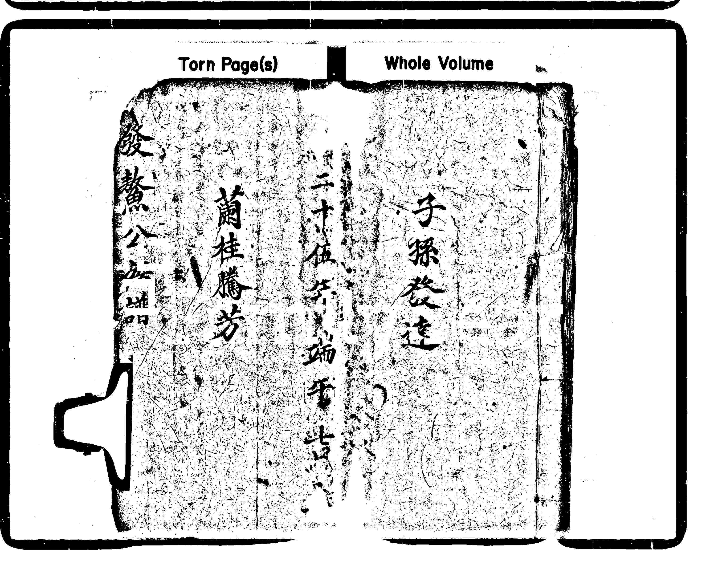 家谱第一张图片