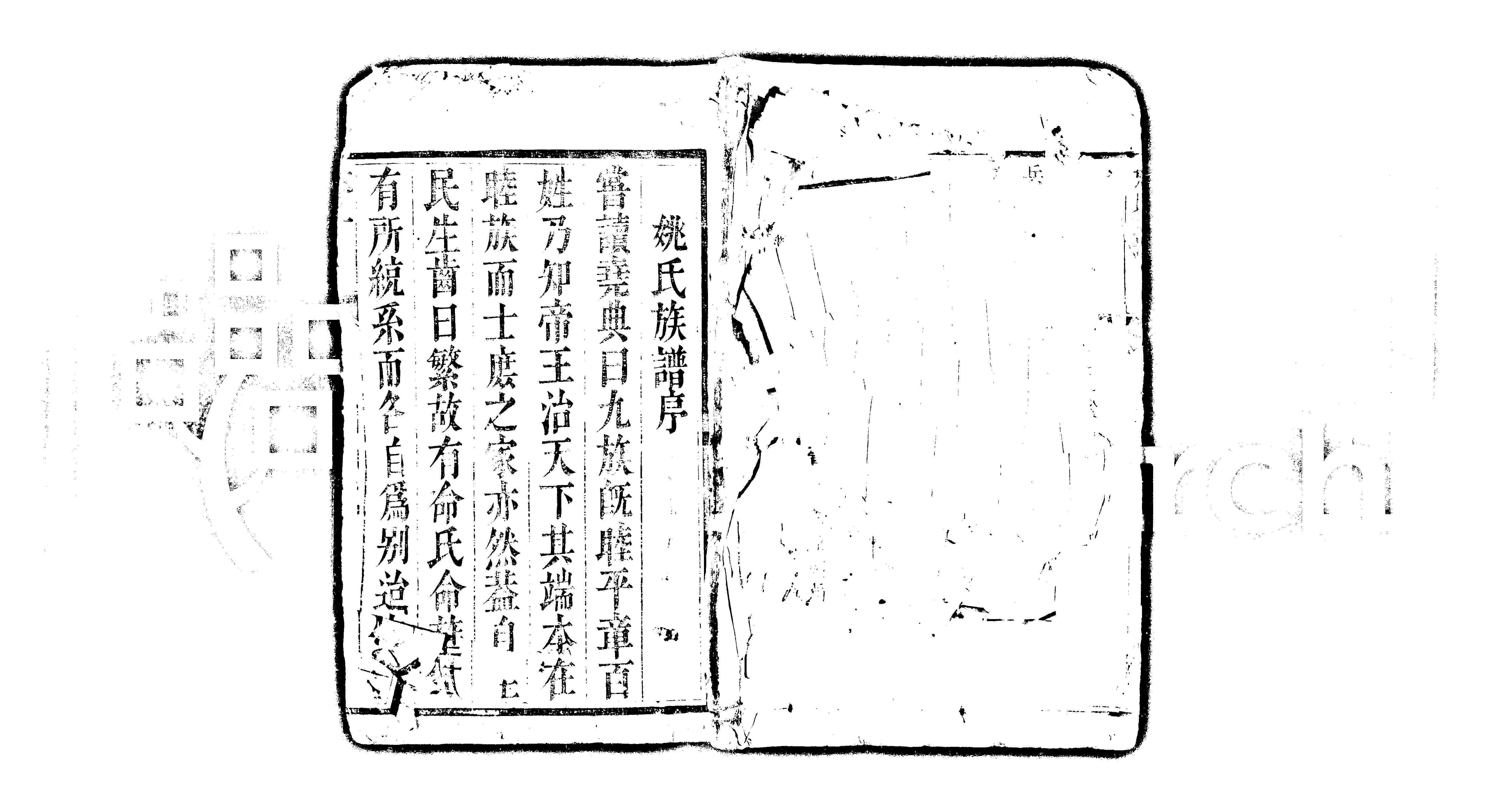 家谱第一张图片