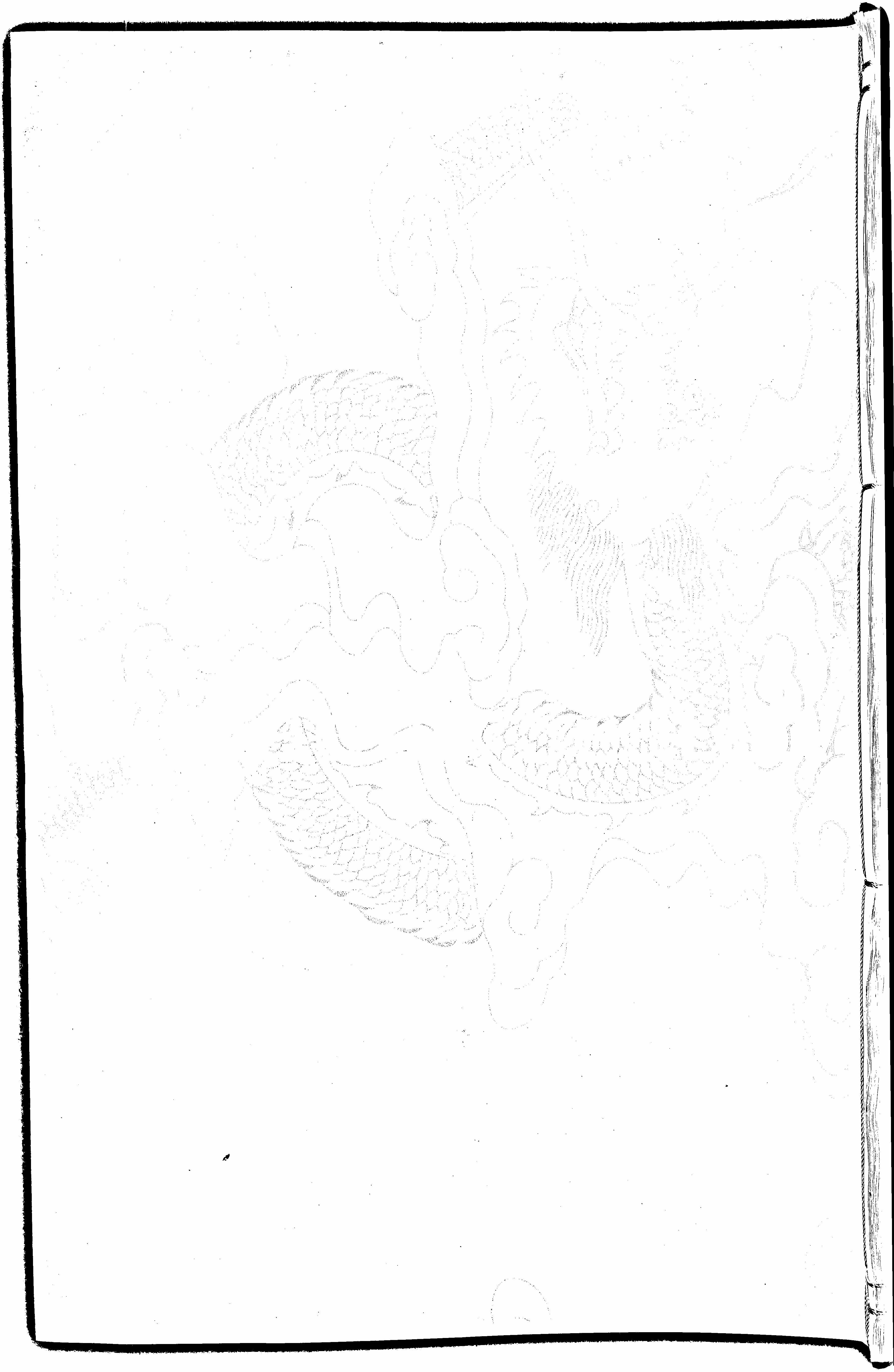 家谱第一张图片