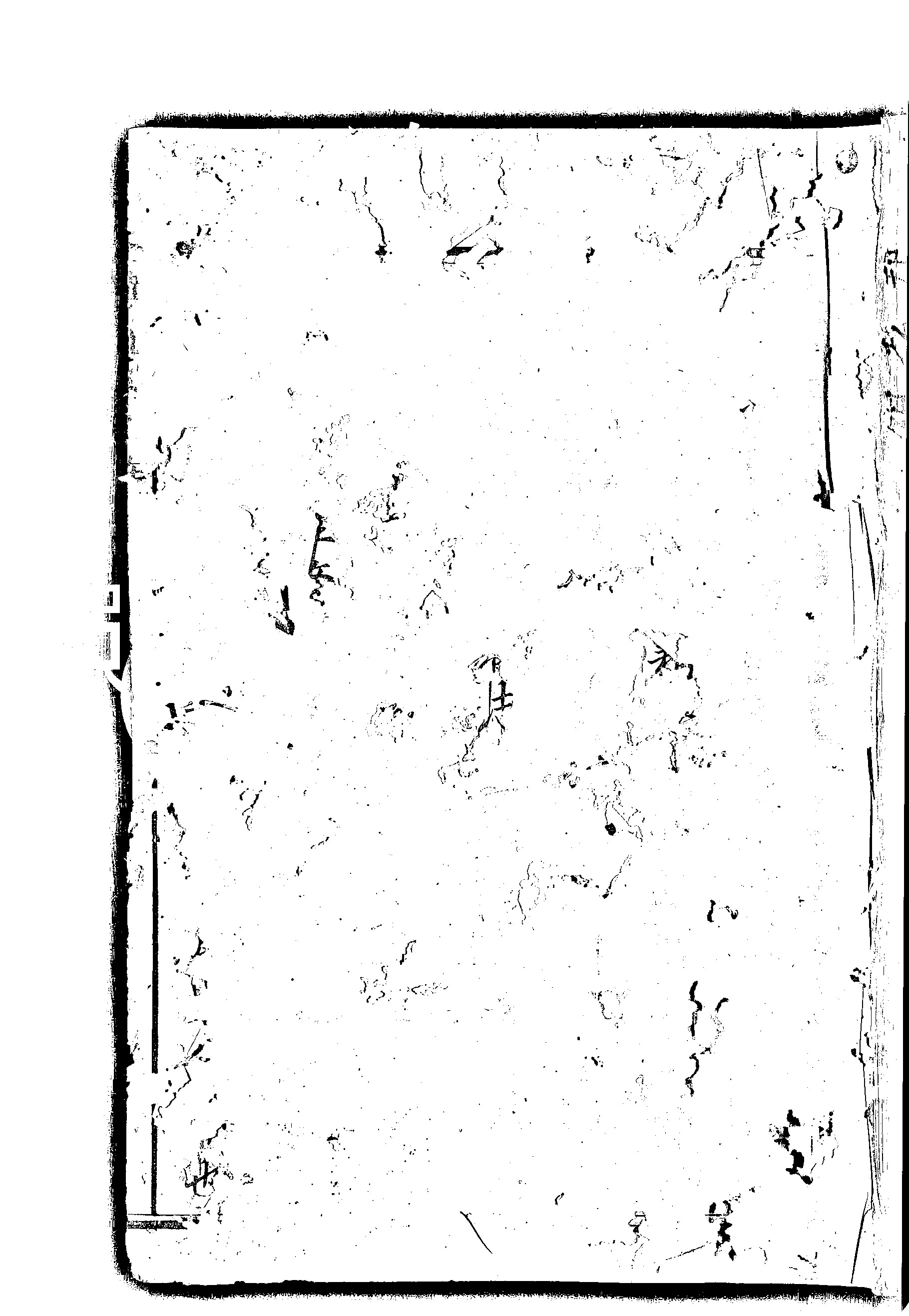 家谱第一张图片