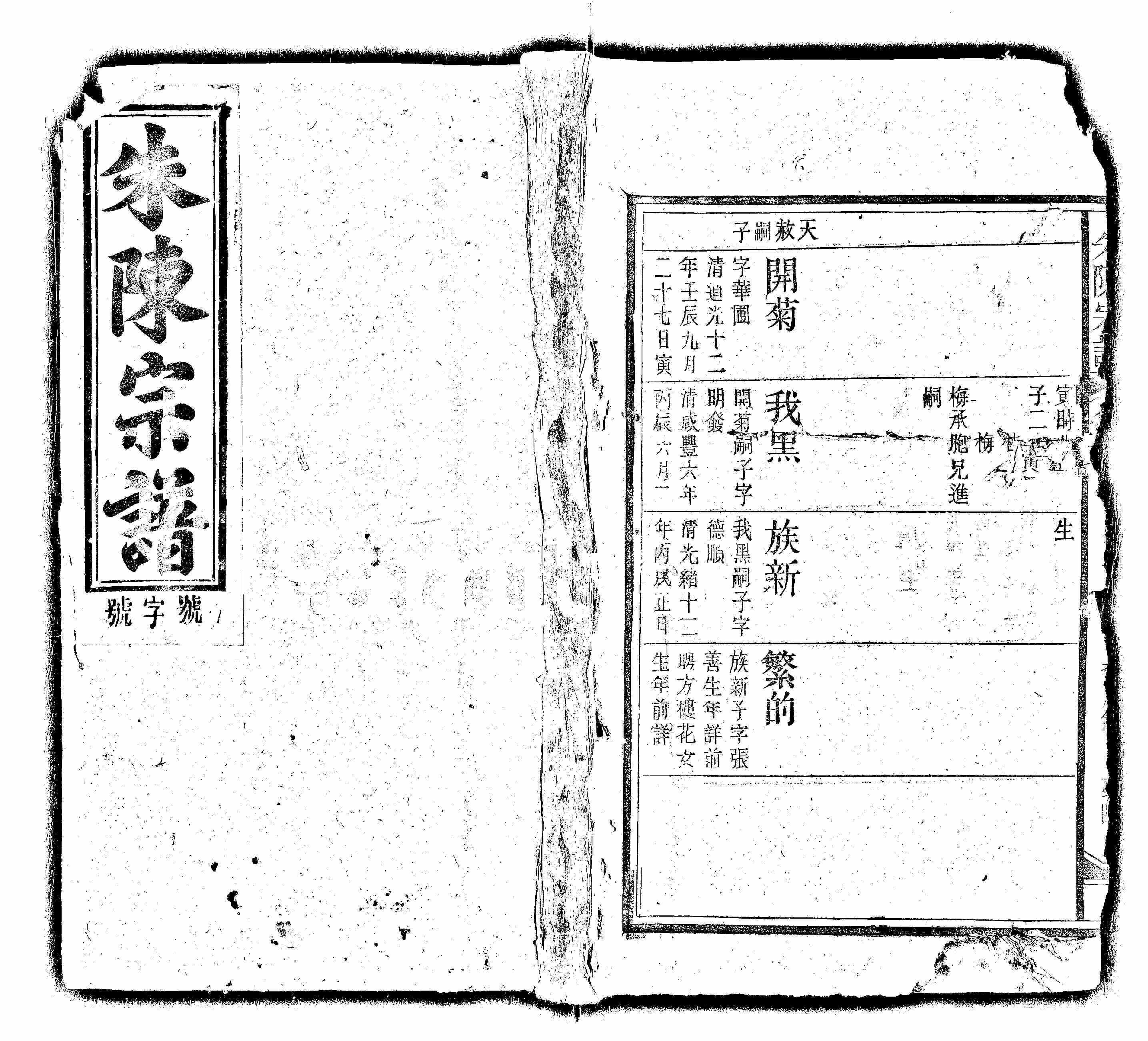 家谱第一张图片