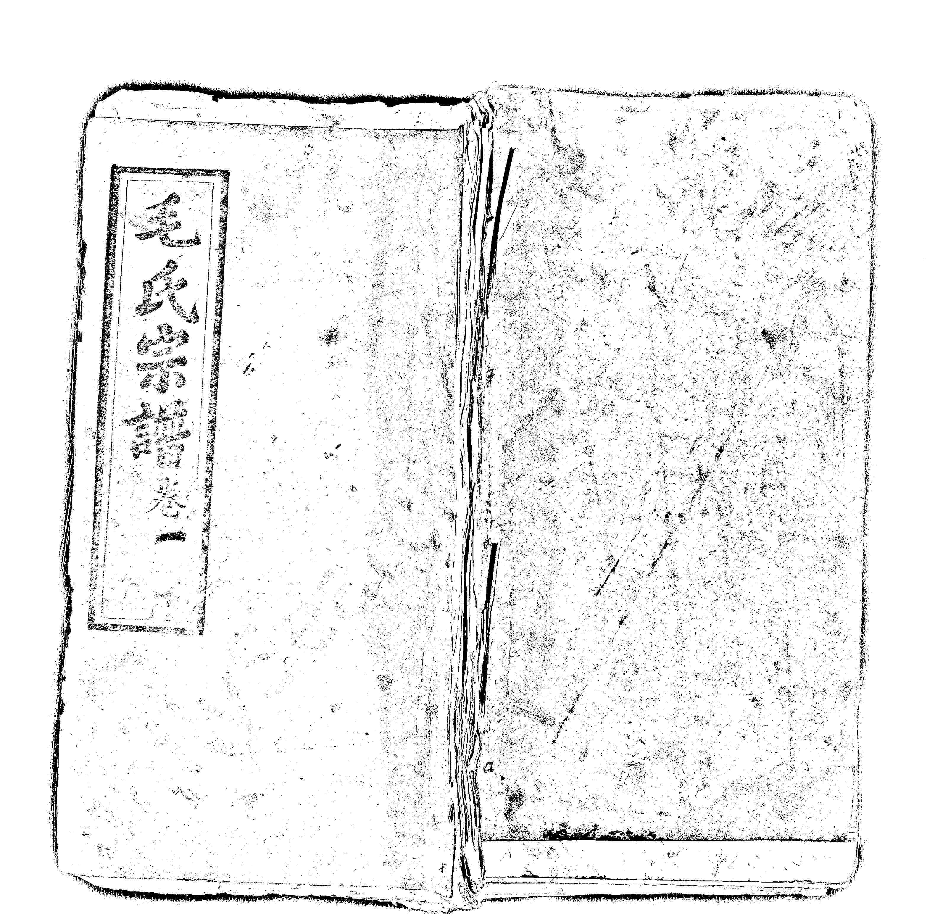 家谱第一张图片