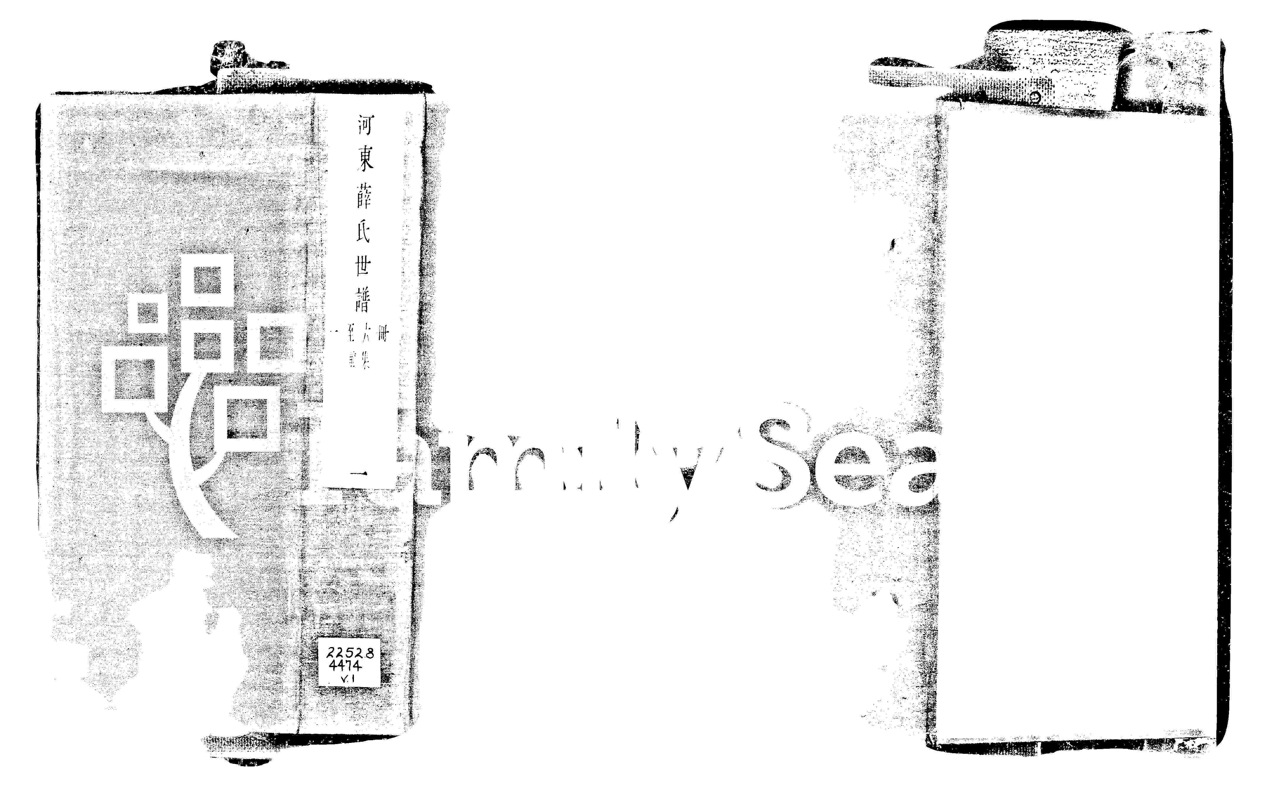 家谱第一张图片