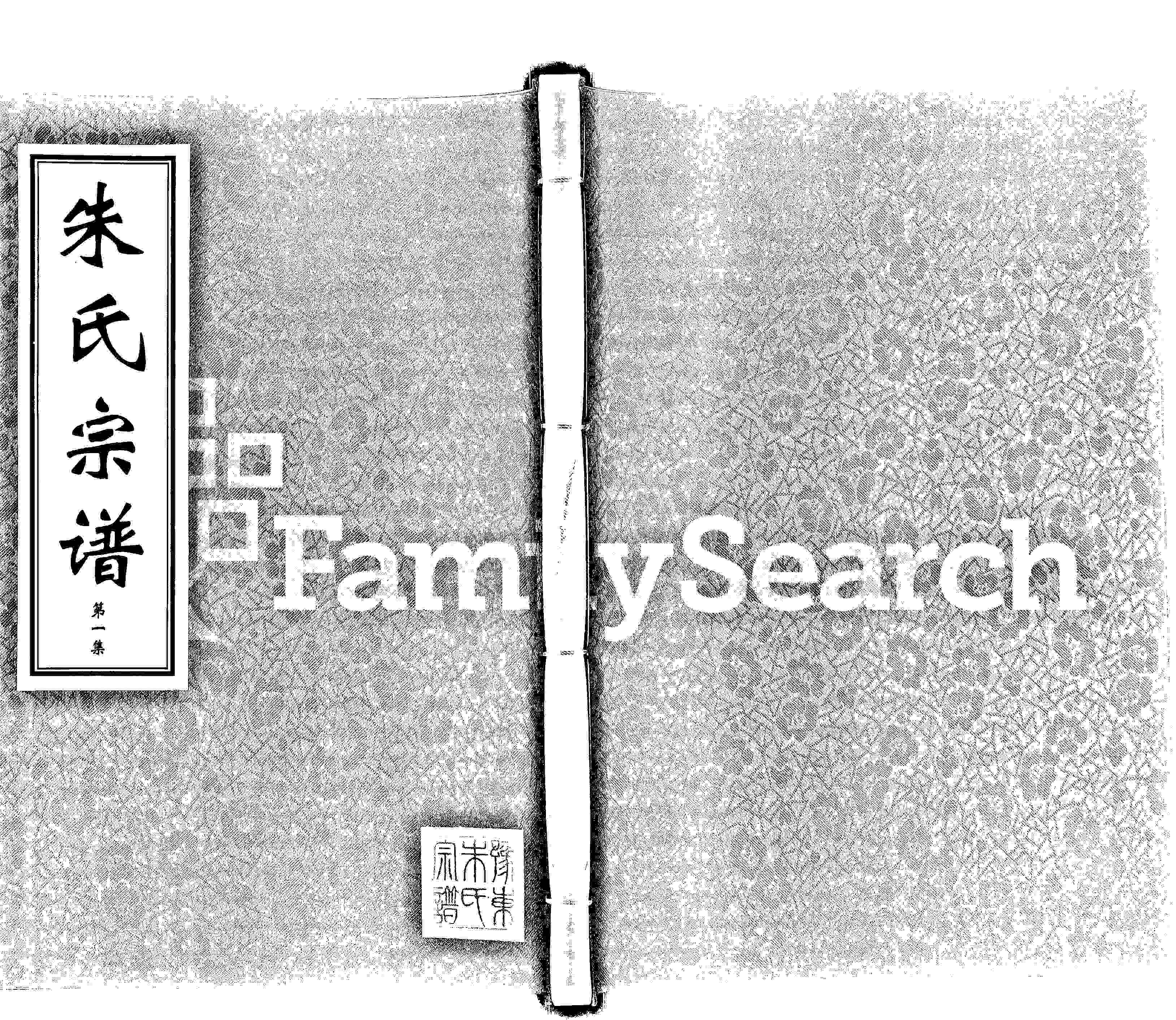 家谱第一张图片