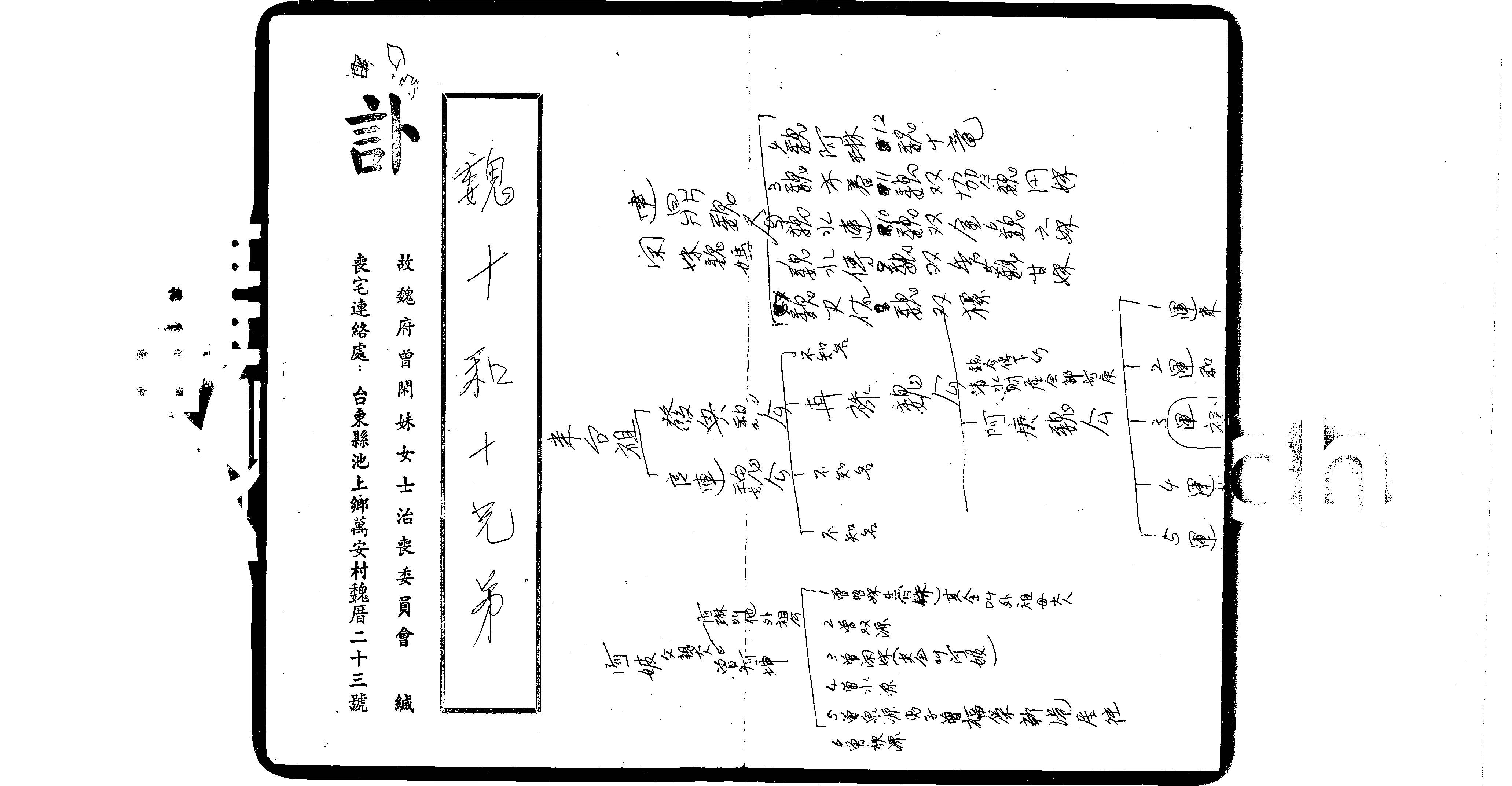 家谱第一张图片