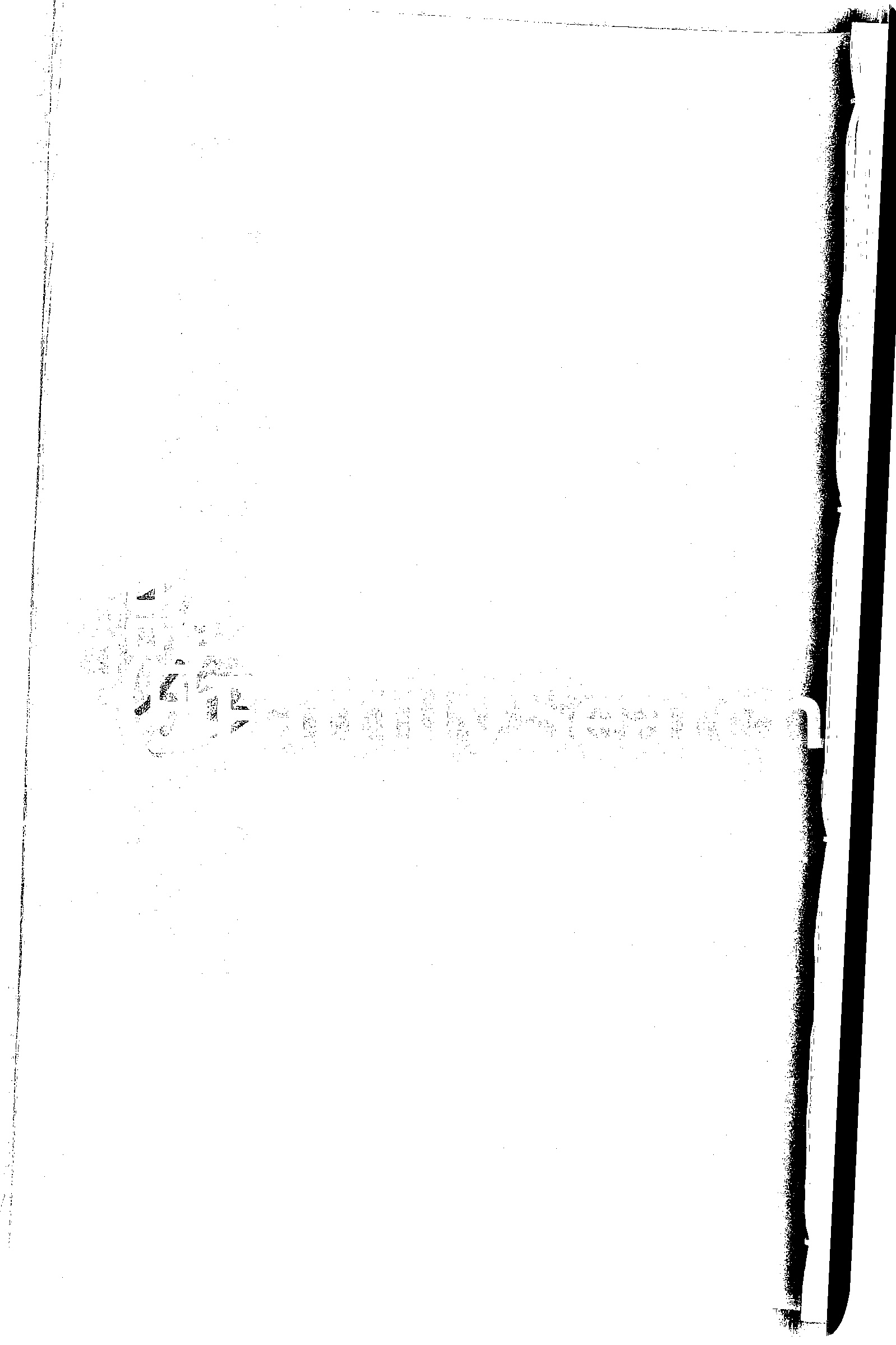 家谱第一张图片