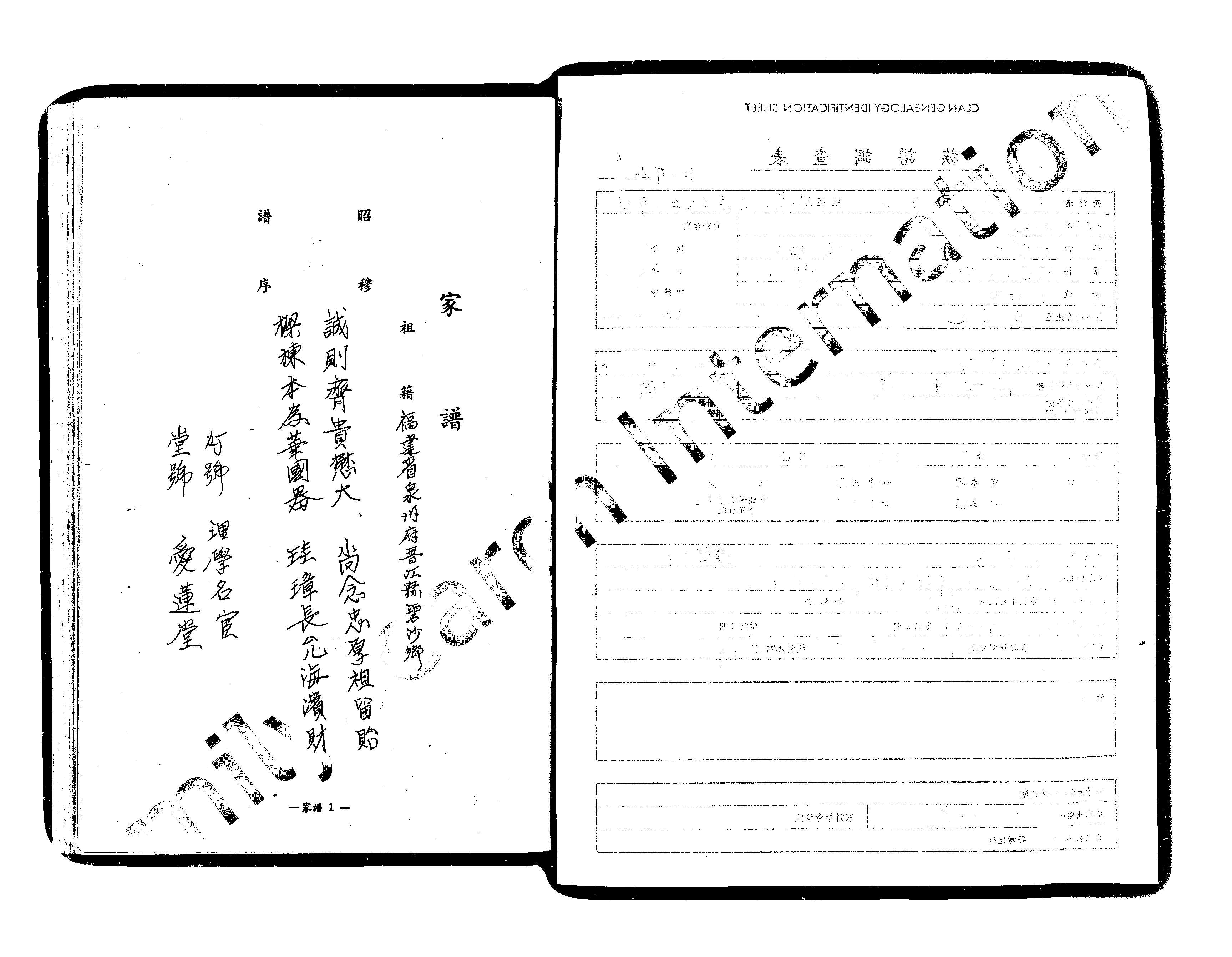 家谱第一张图片