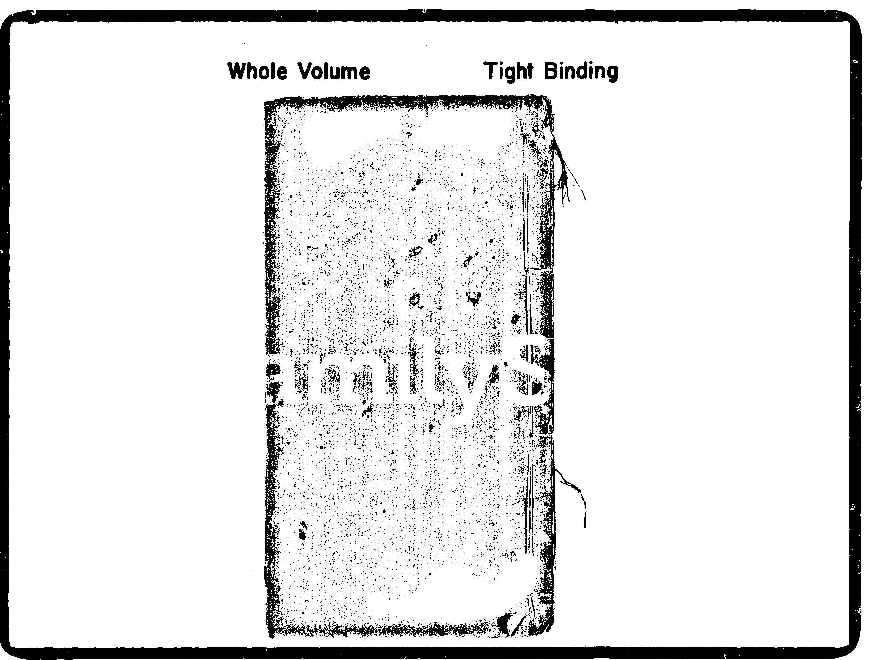 家谱第一张图片