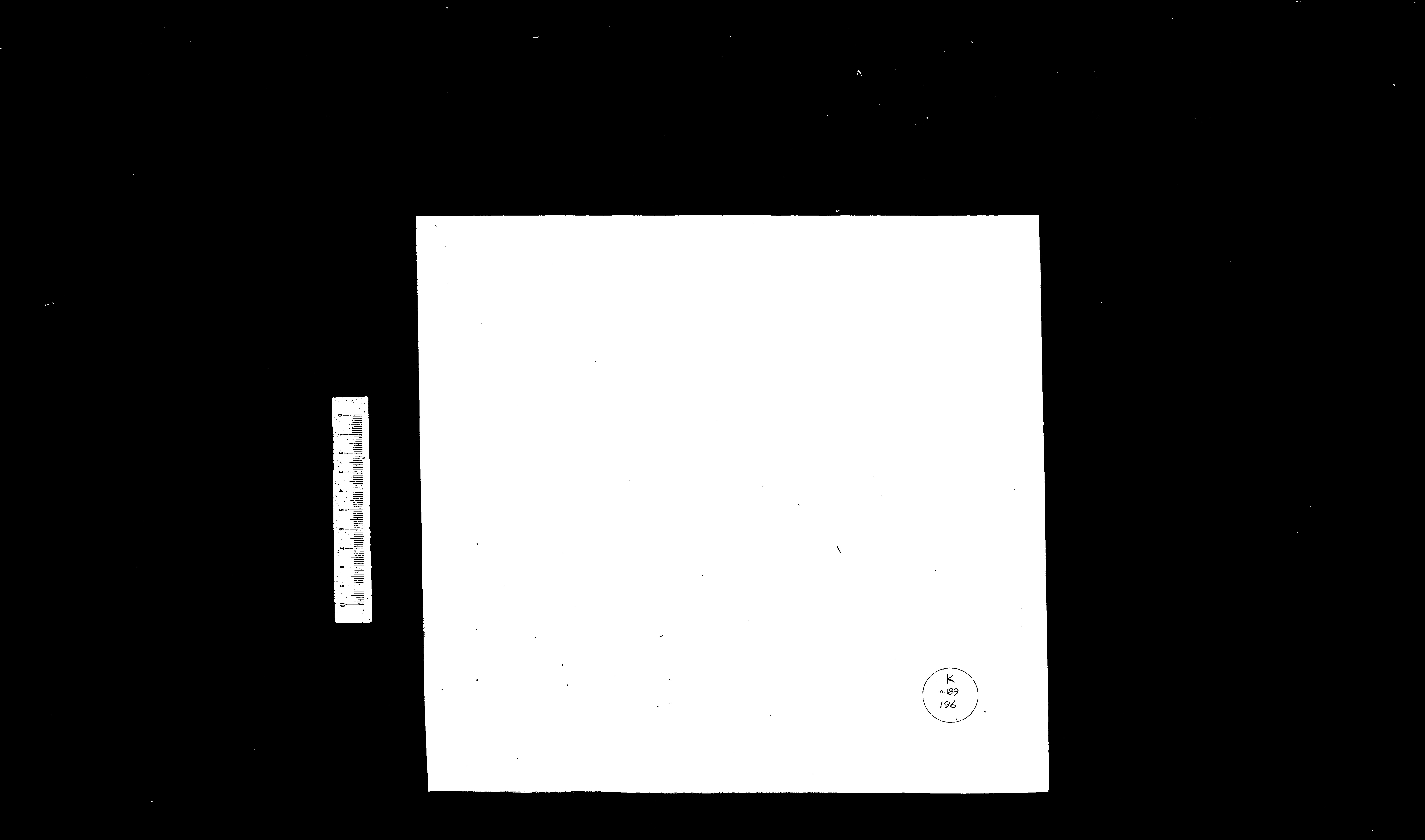 家谱第一张图片