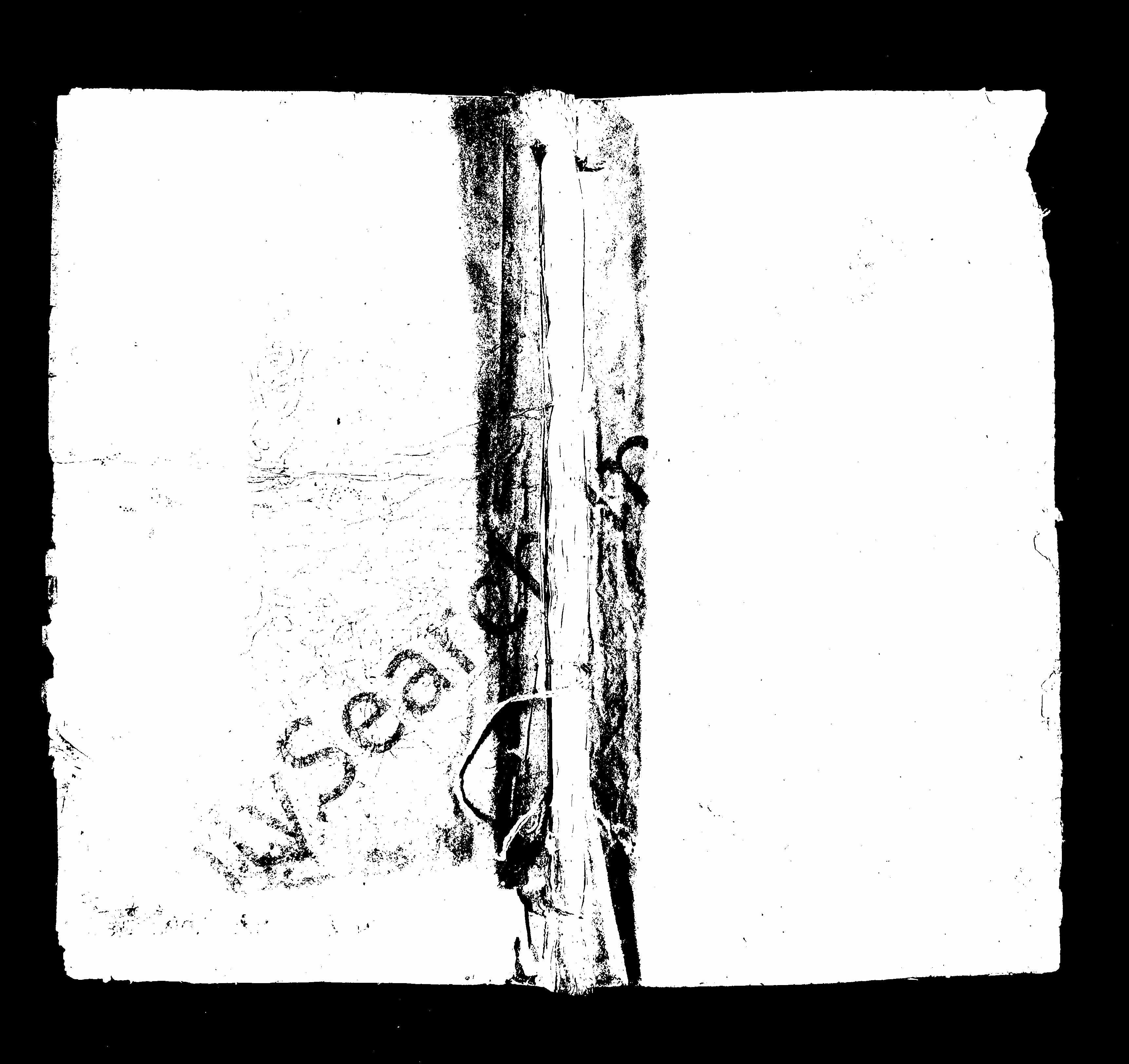 家谱第一张图片