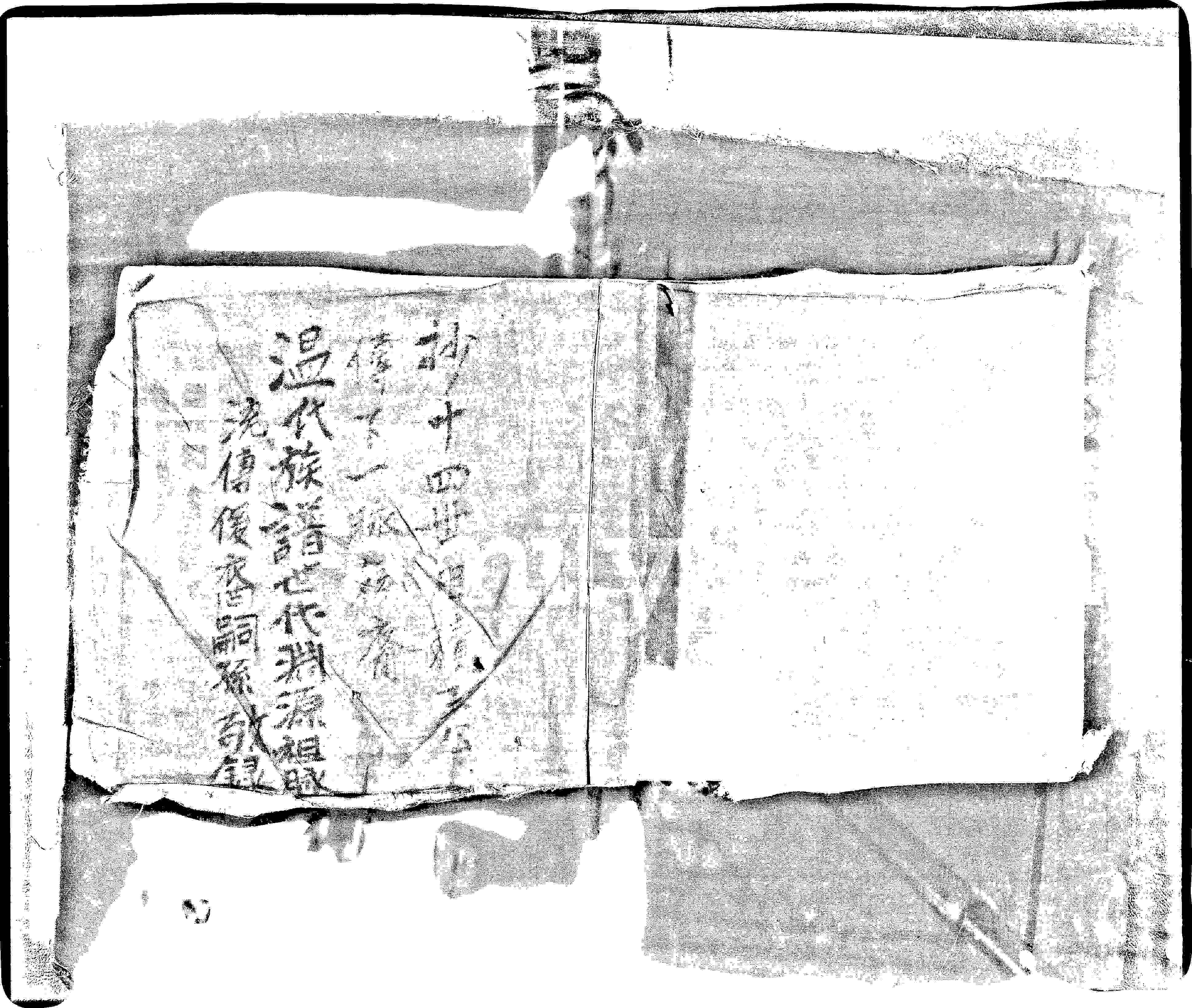 家谱第一张图片