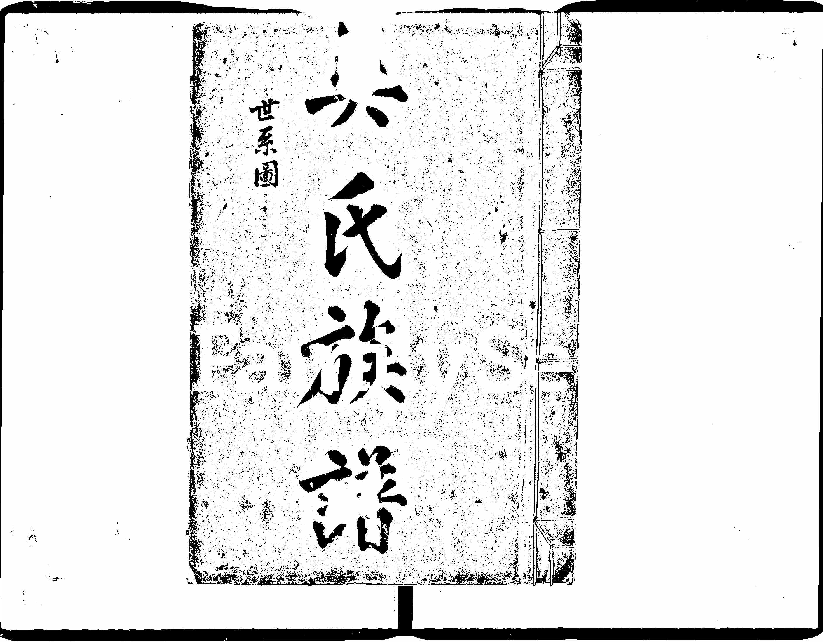 家谱第一张图片