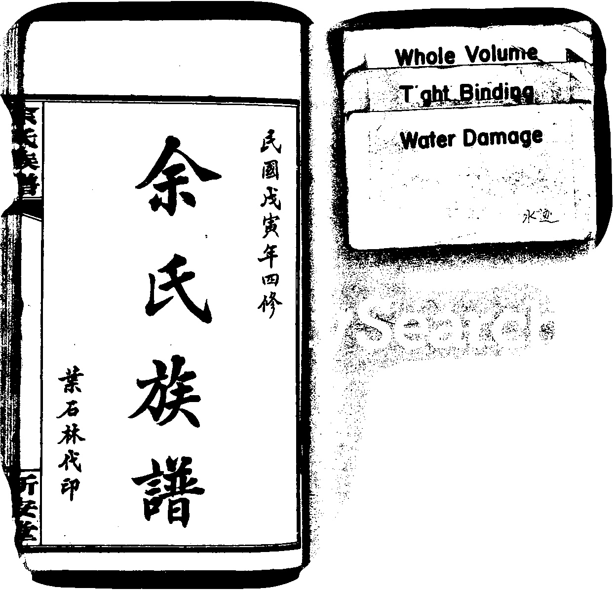 家谱第一张图片