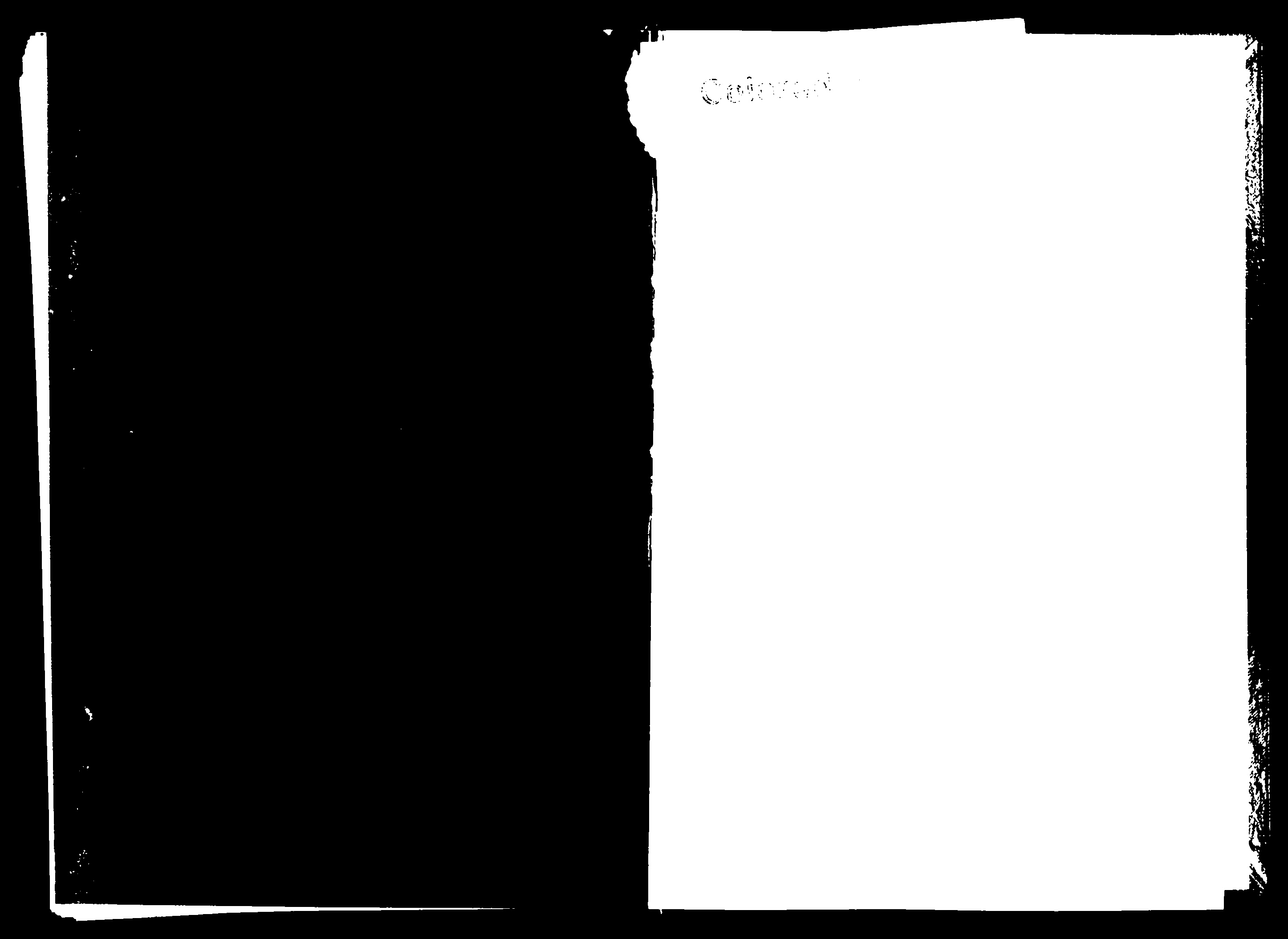 家谱第一张图片