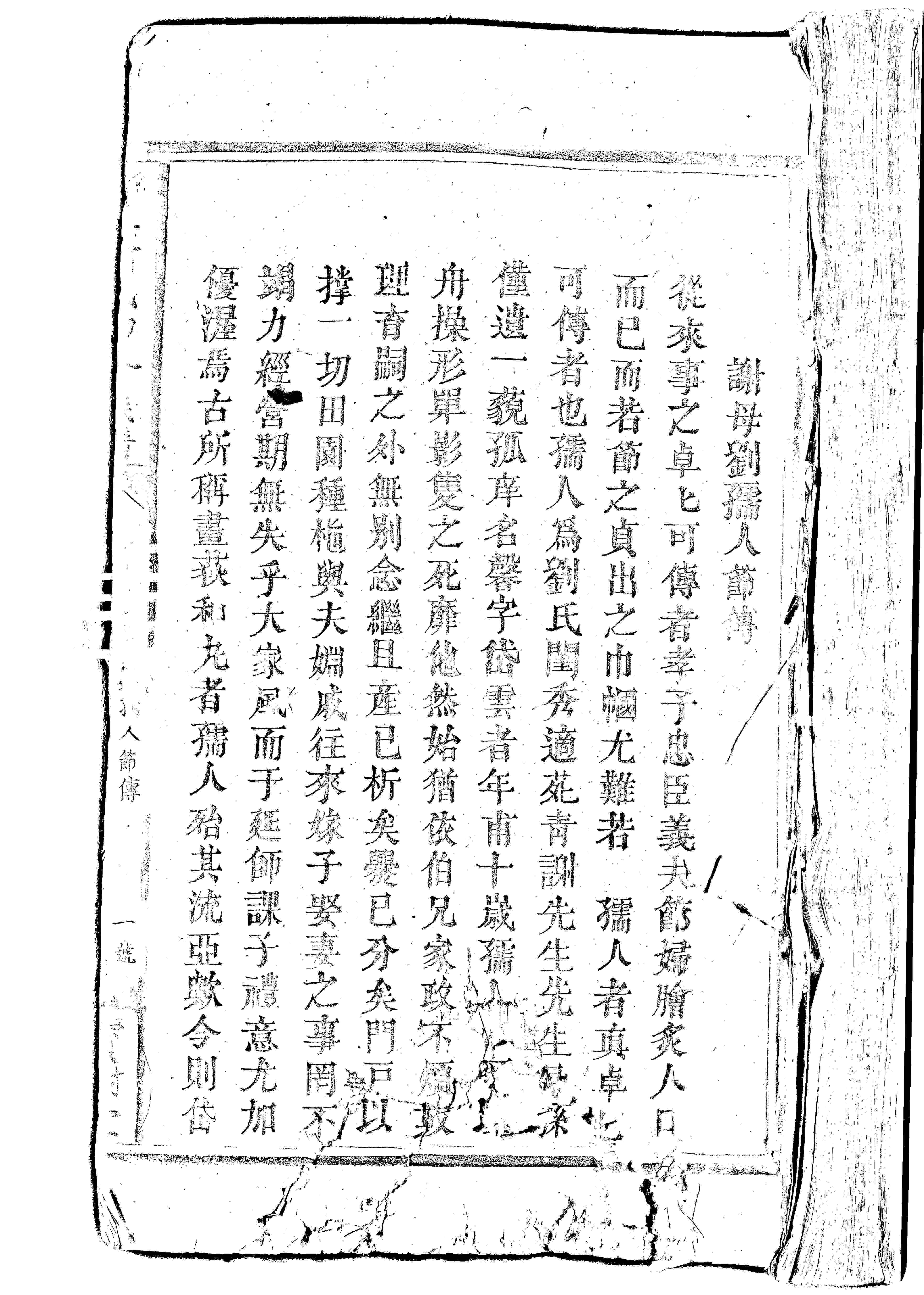 家谱第一张图片