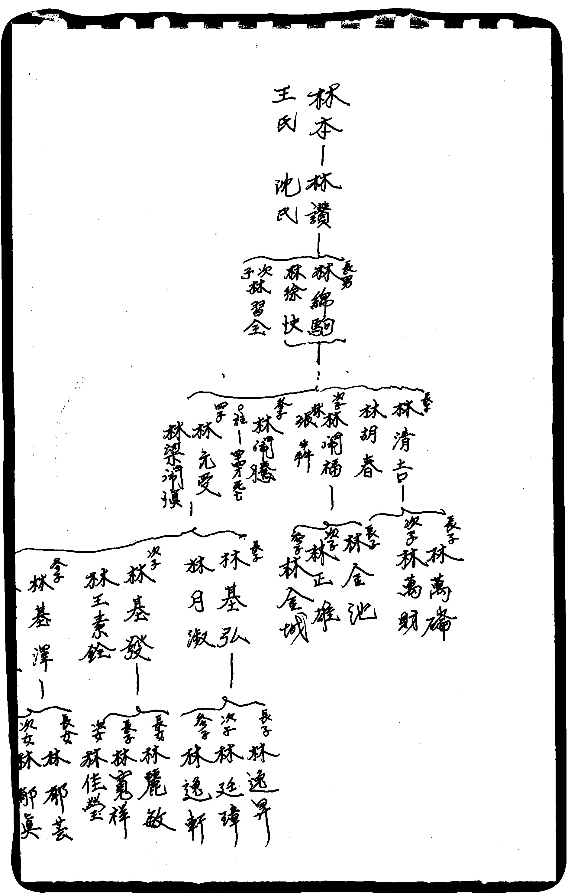 家谱第一张图片