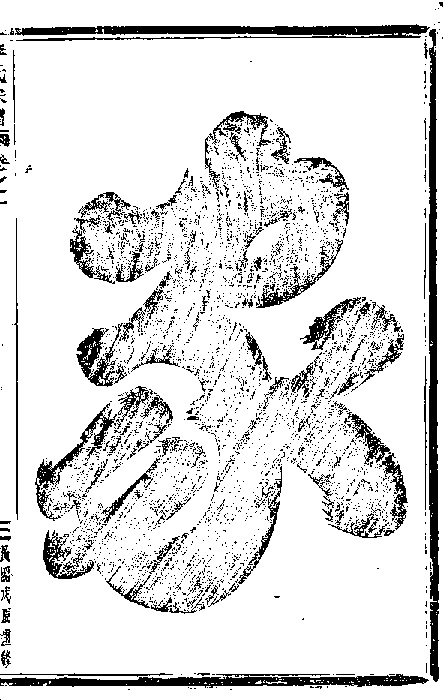 家谱第一张图片