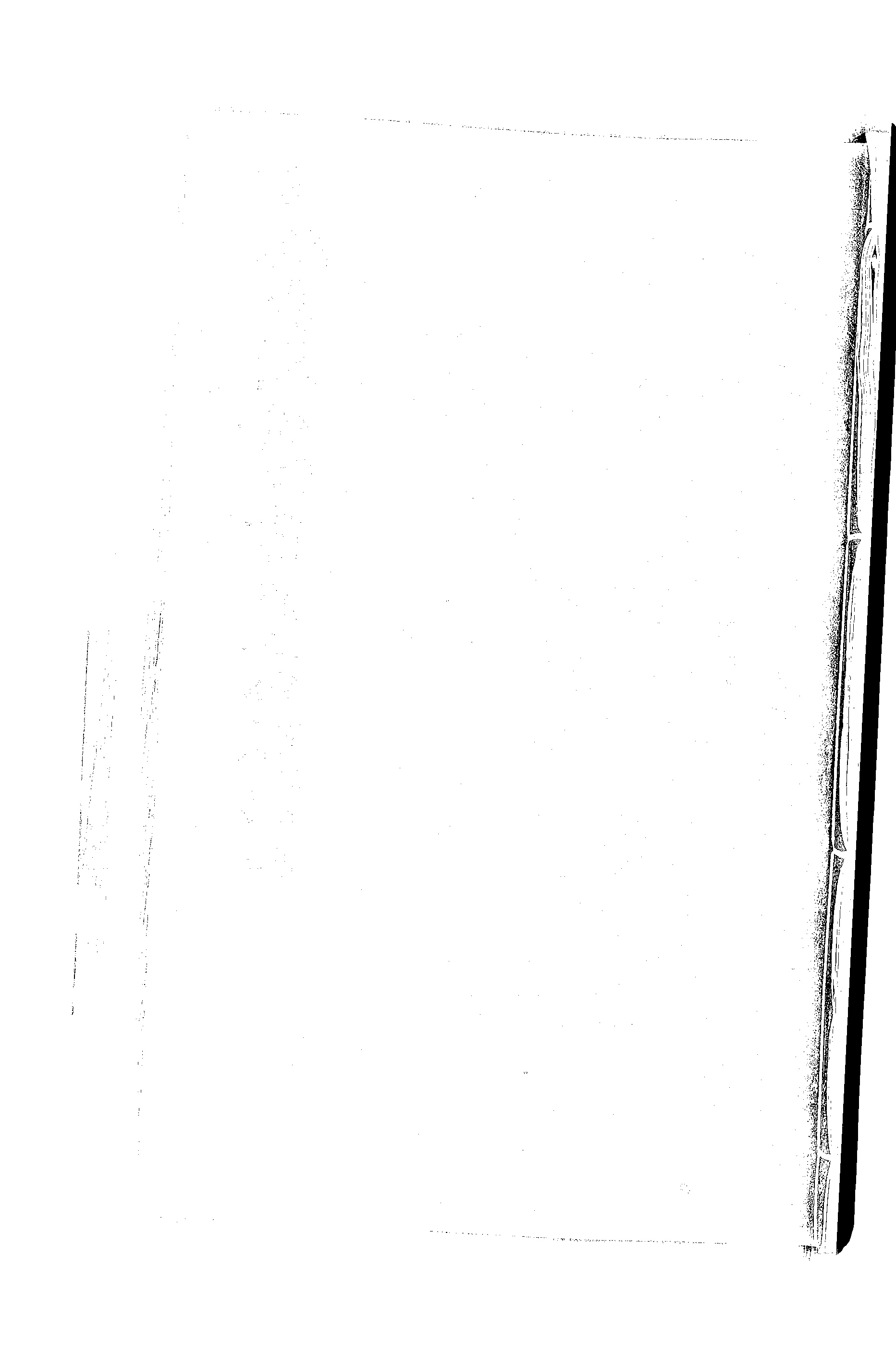 家谱第一张图片