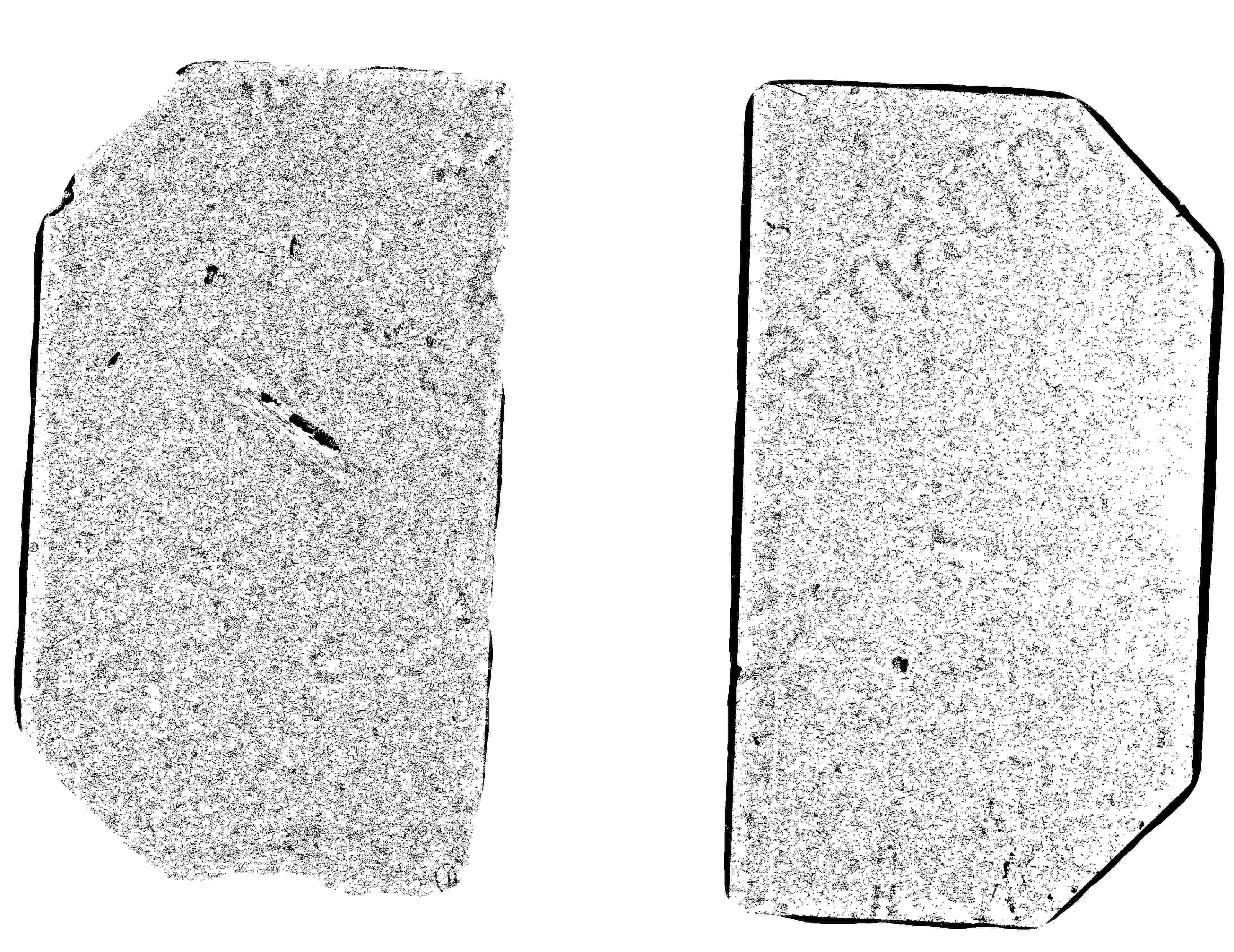 家谱第一张图片