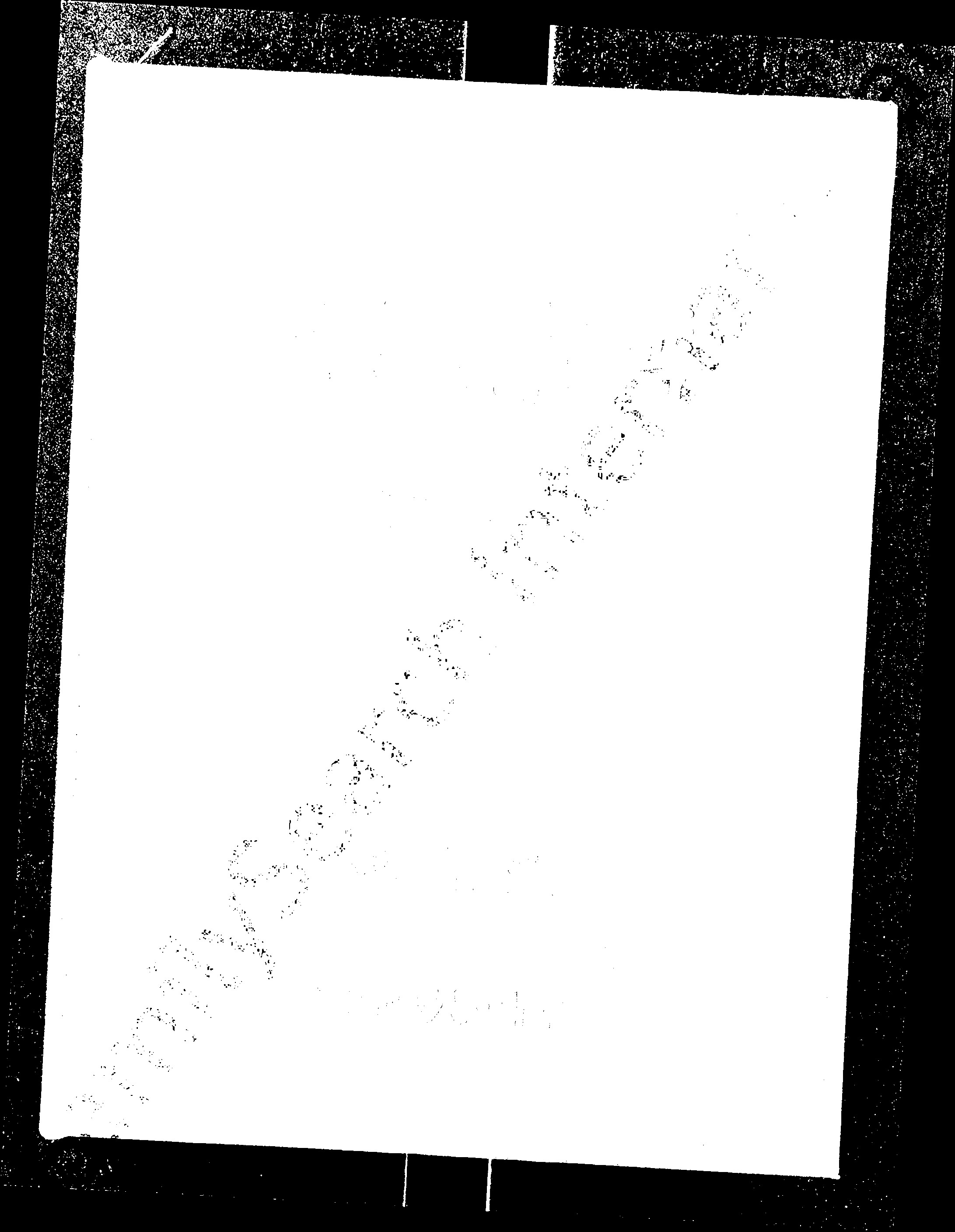 家谱第一张图片