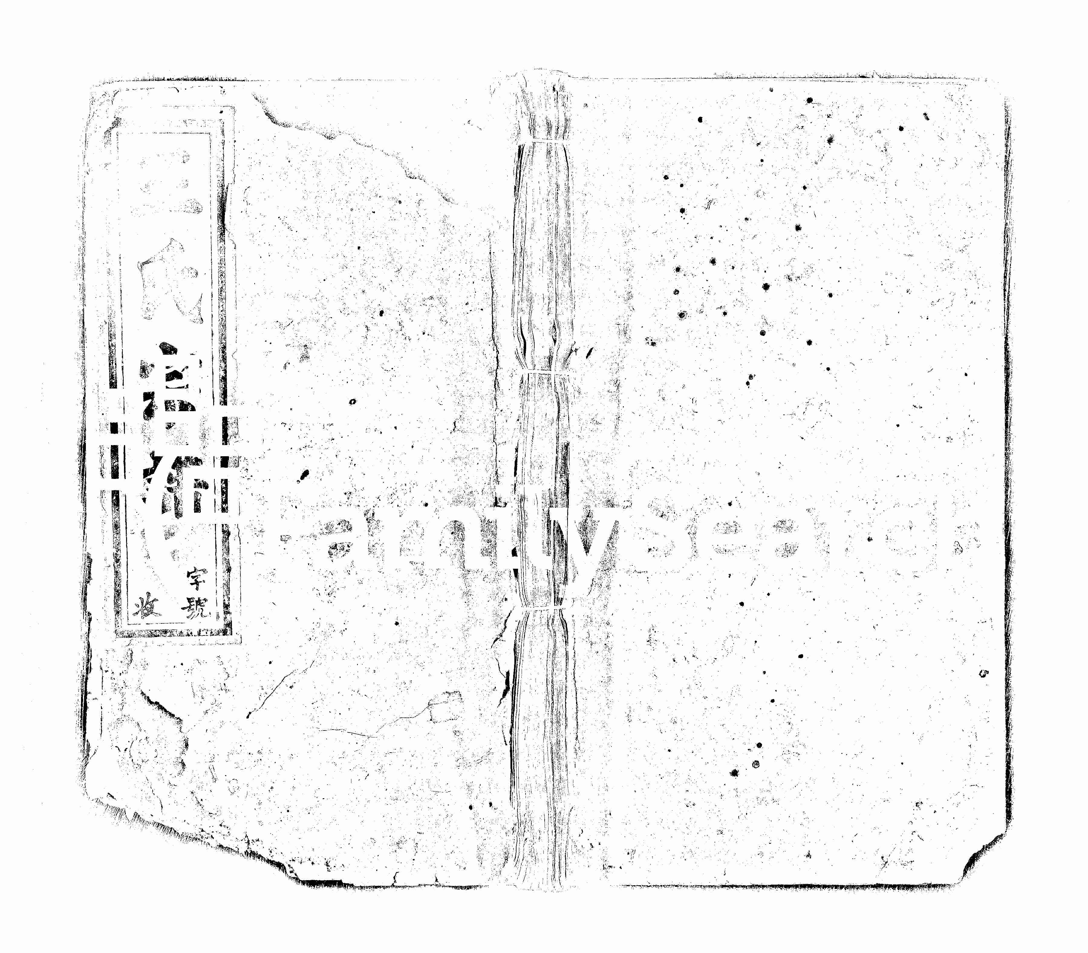 家谱第一张图片