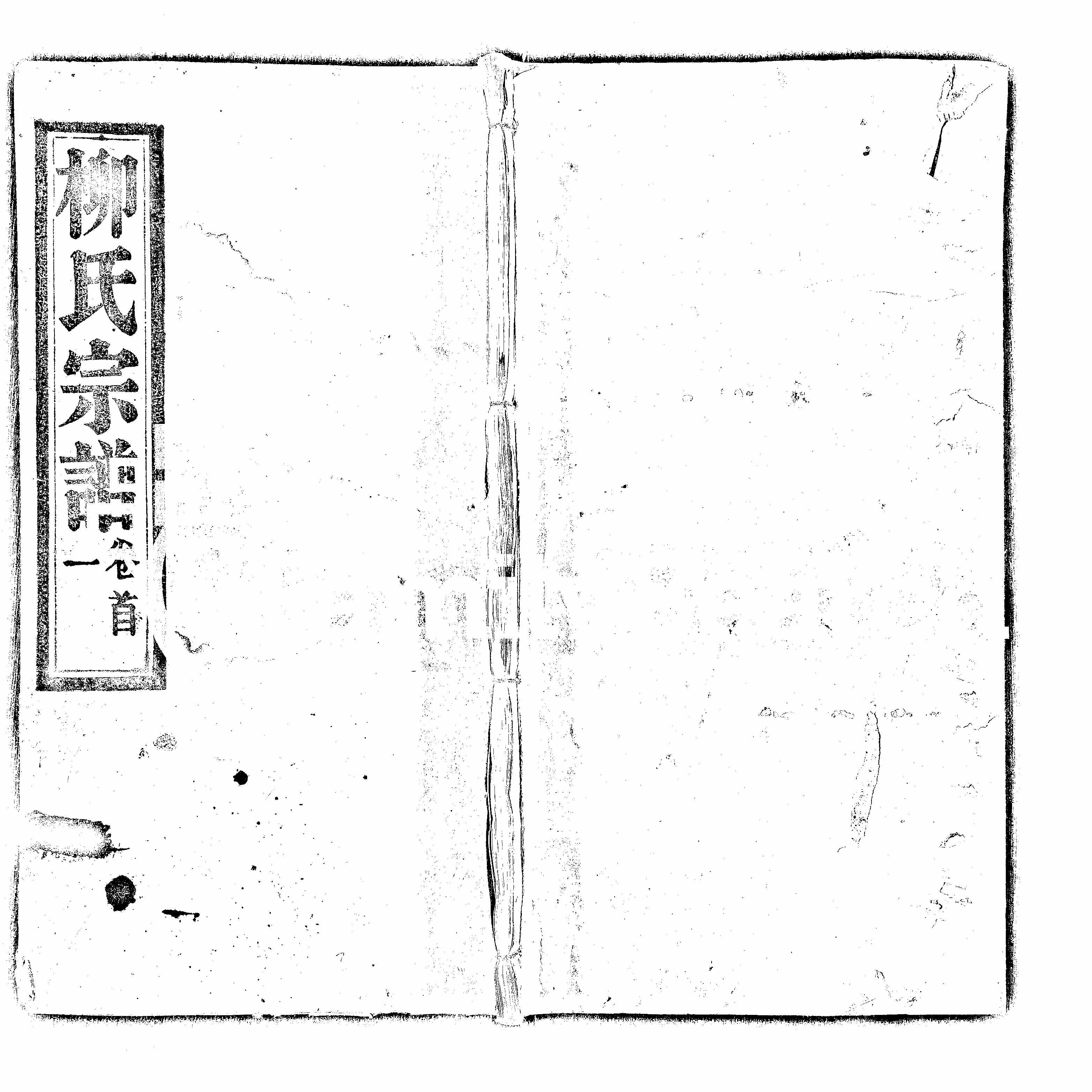 家谱第一张图片