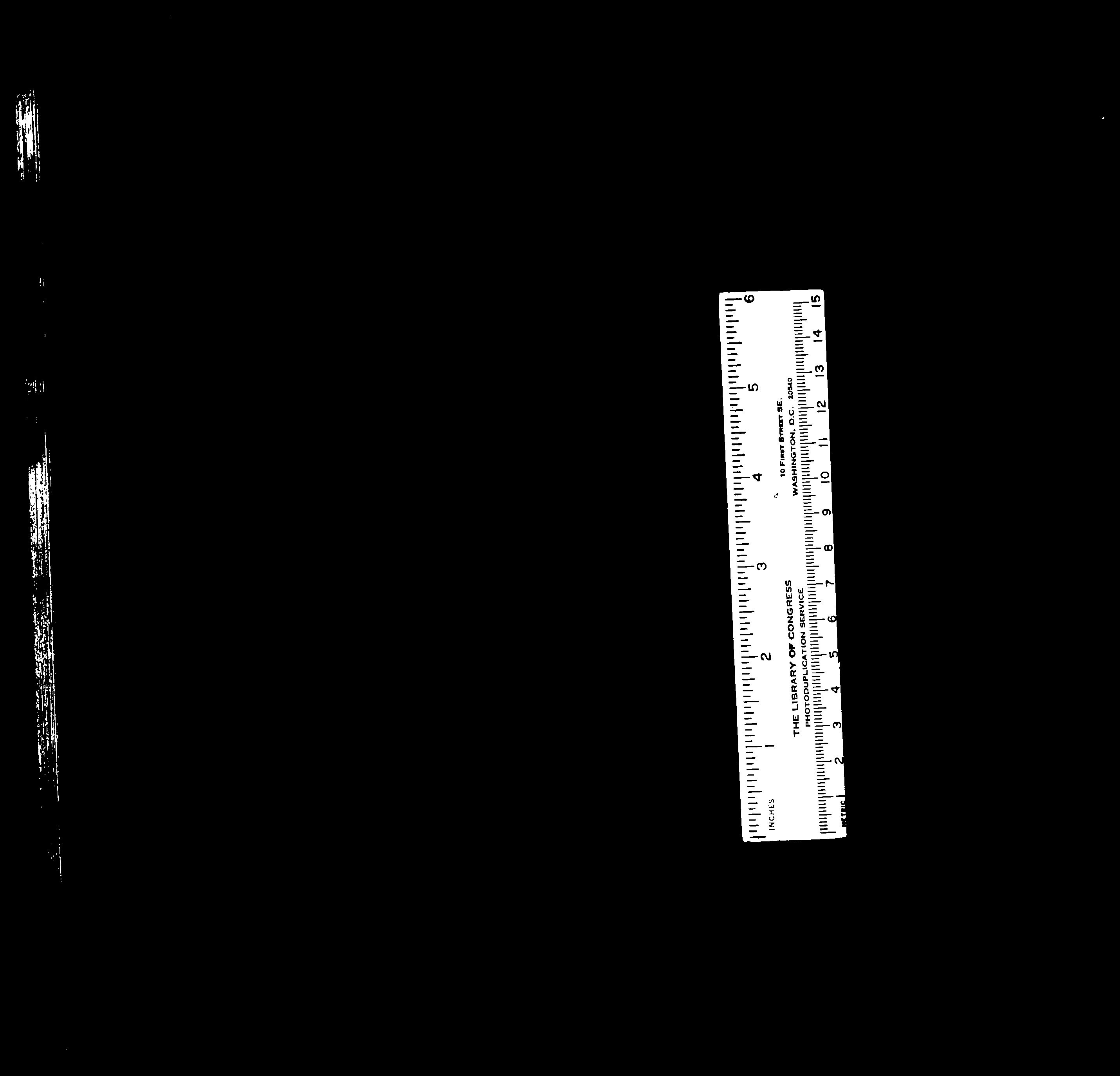 家谱第一张图片