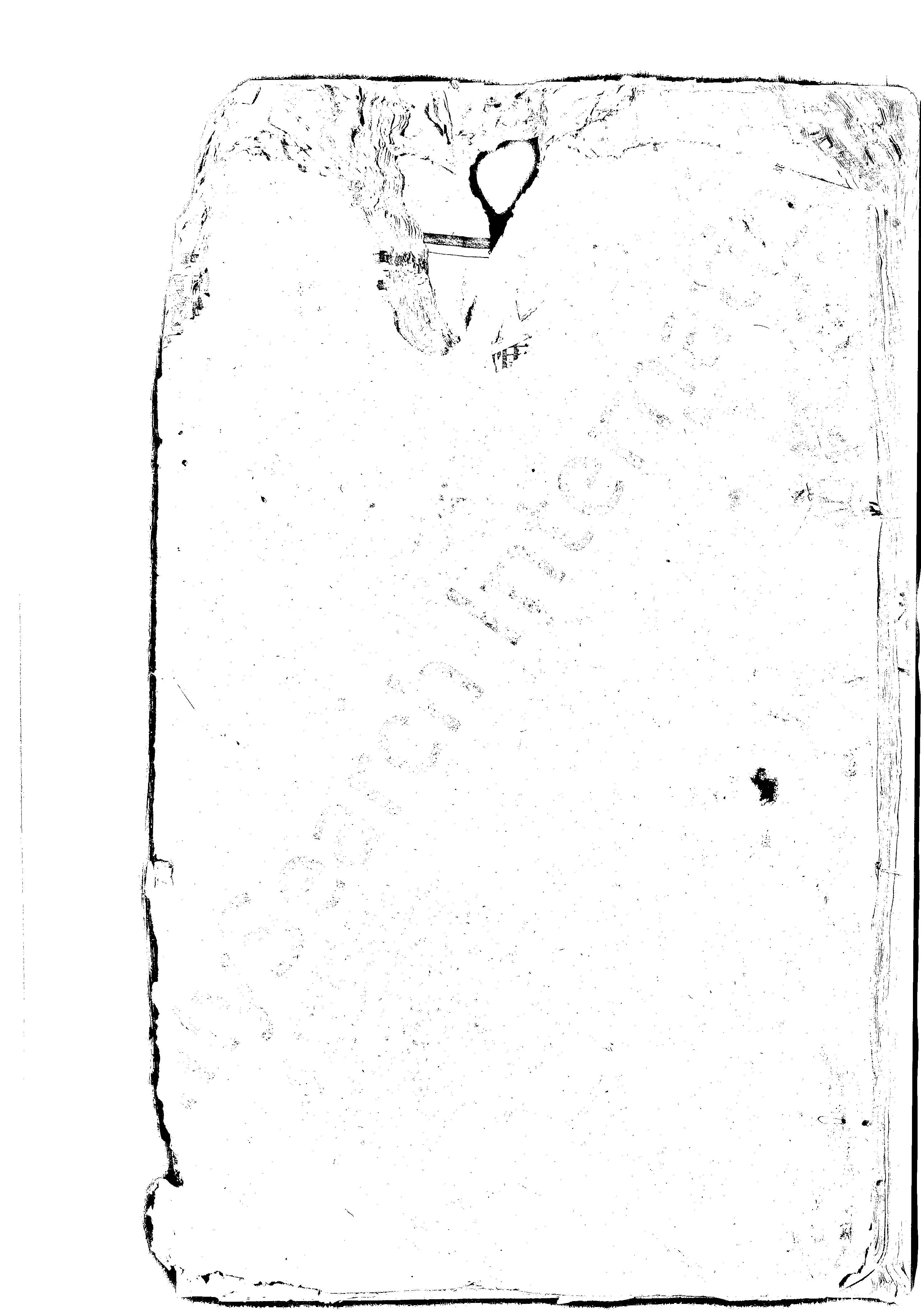 家谱第一张图片