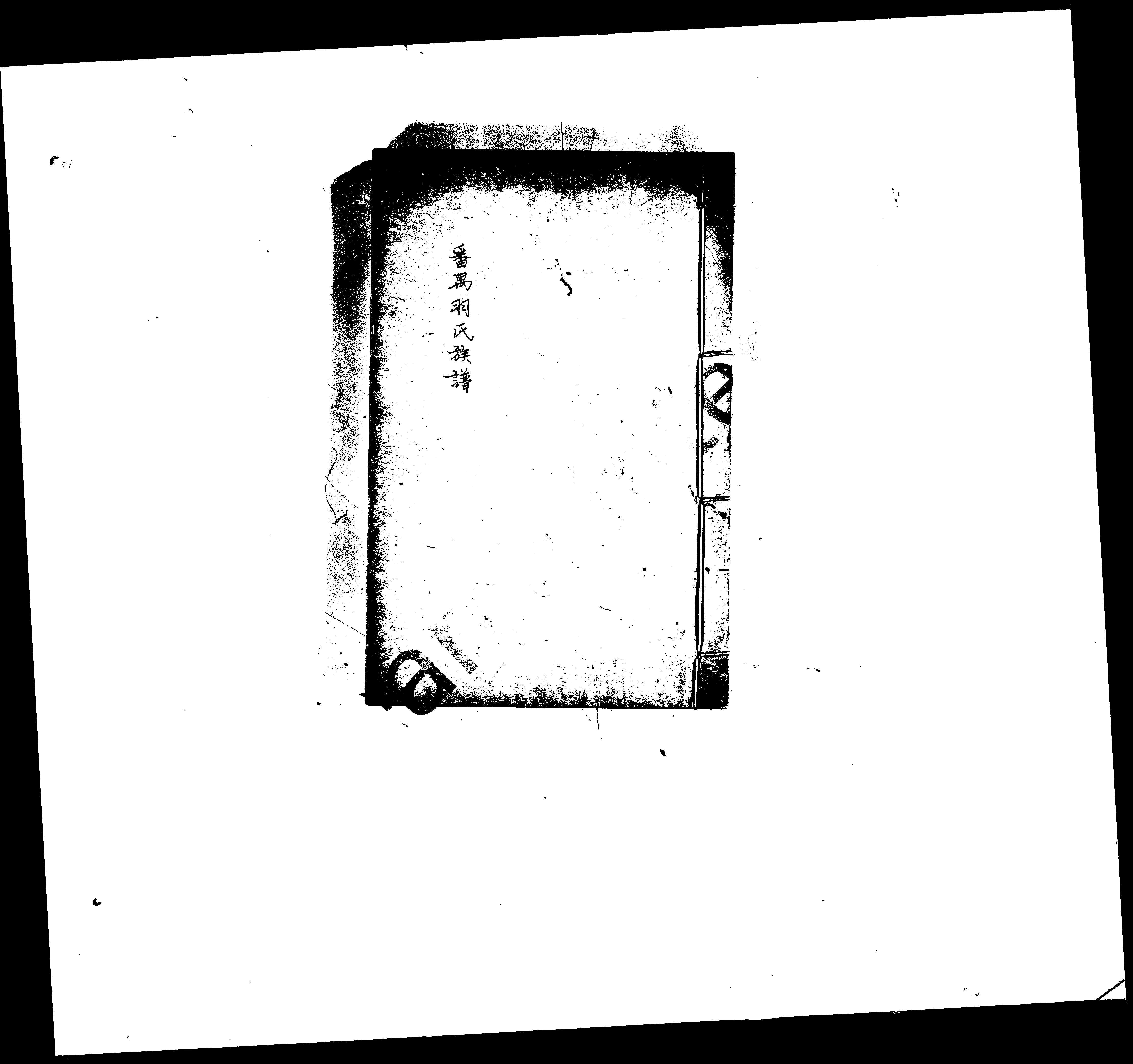 家谱第一张图片