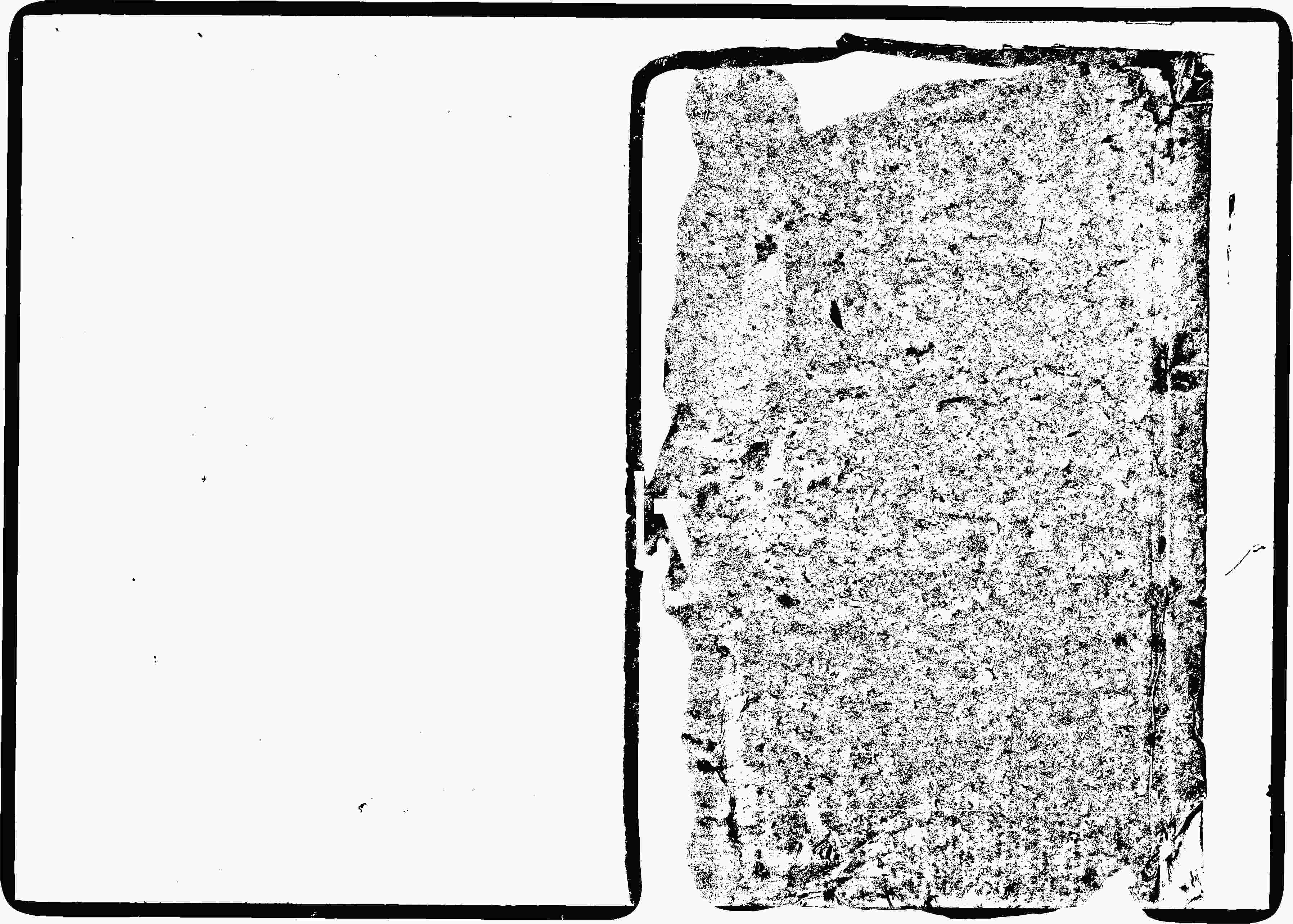 家谱第一张图片