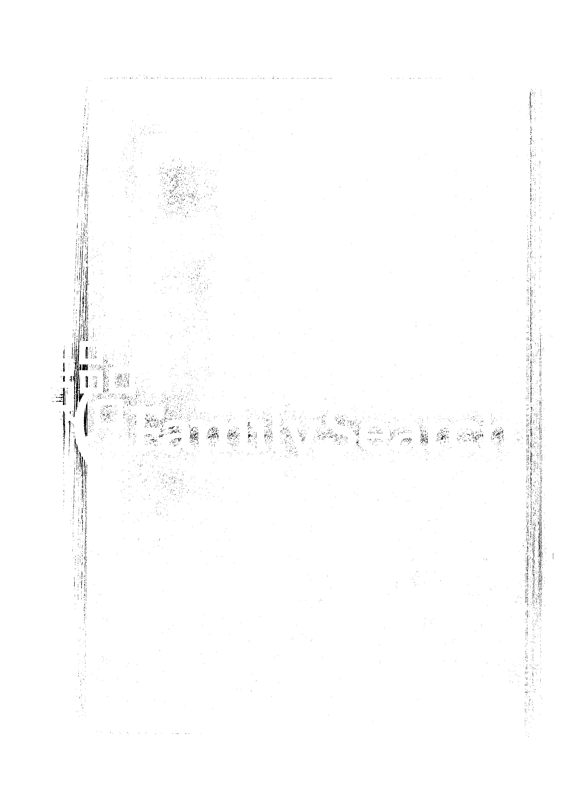 家谱第一张图片